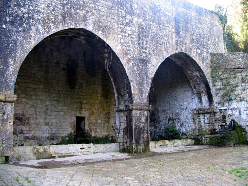 Photo 41