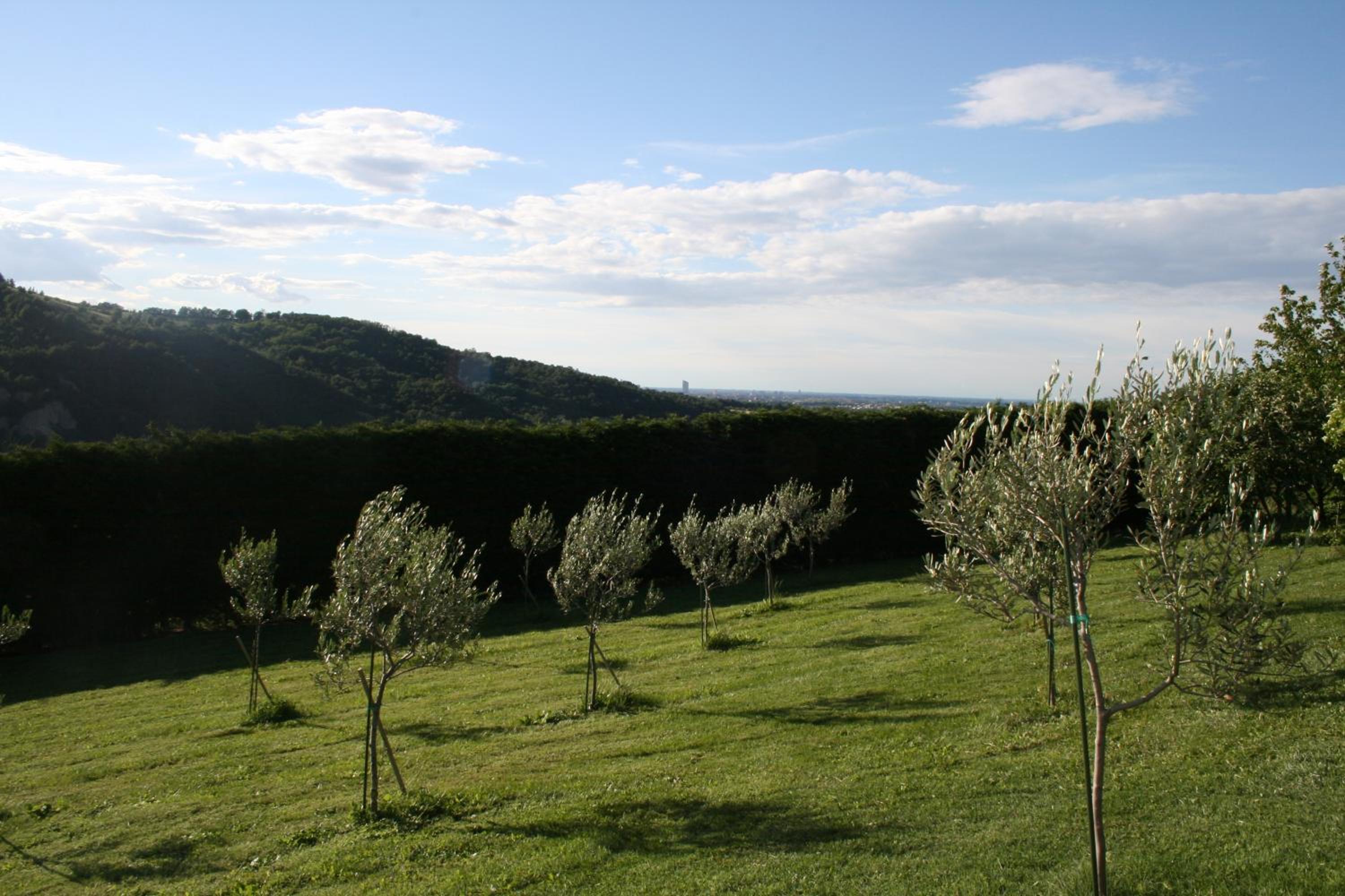 Photo 29