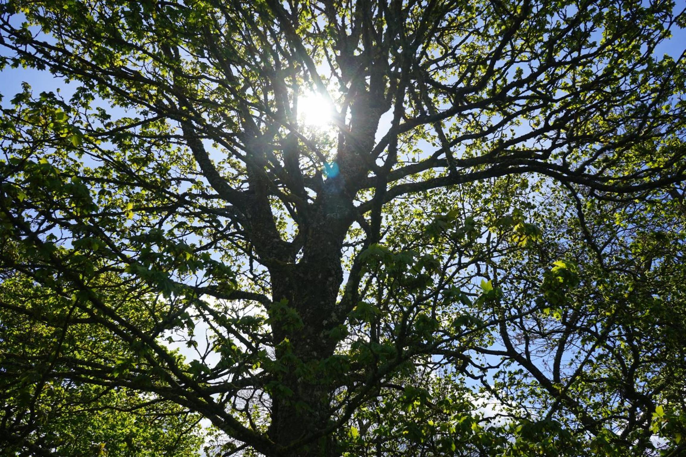 Photo 32
