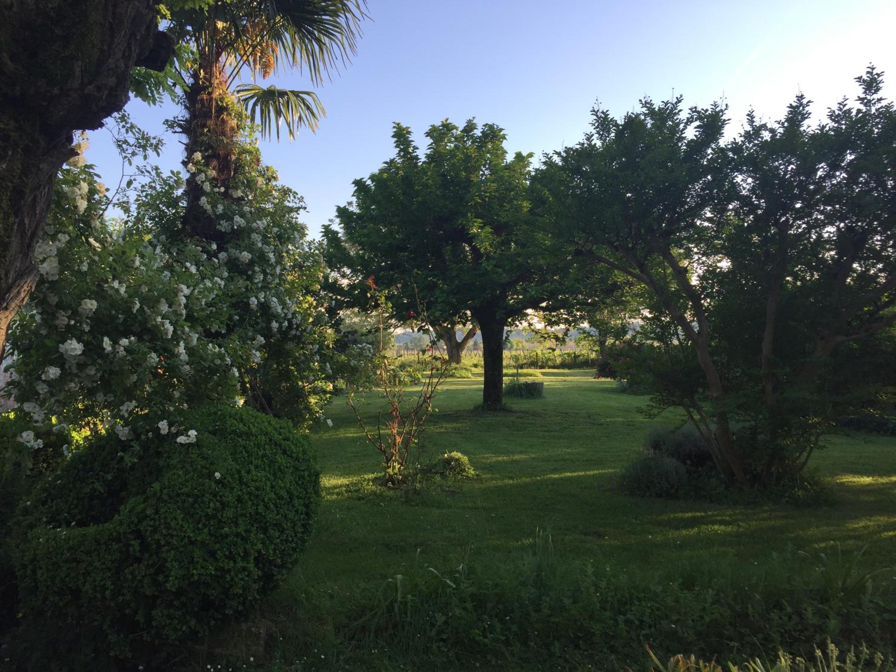 Photo 10
