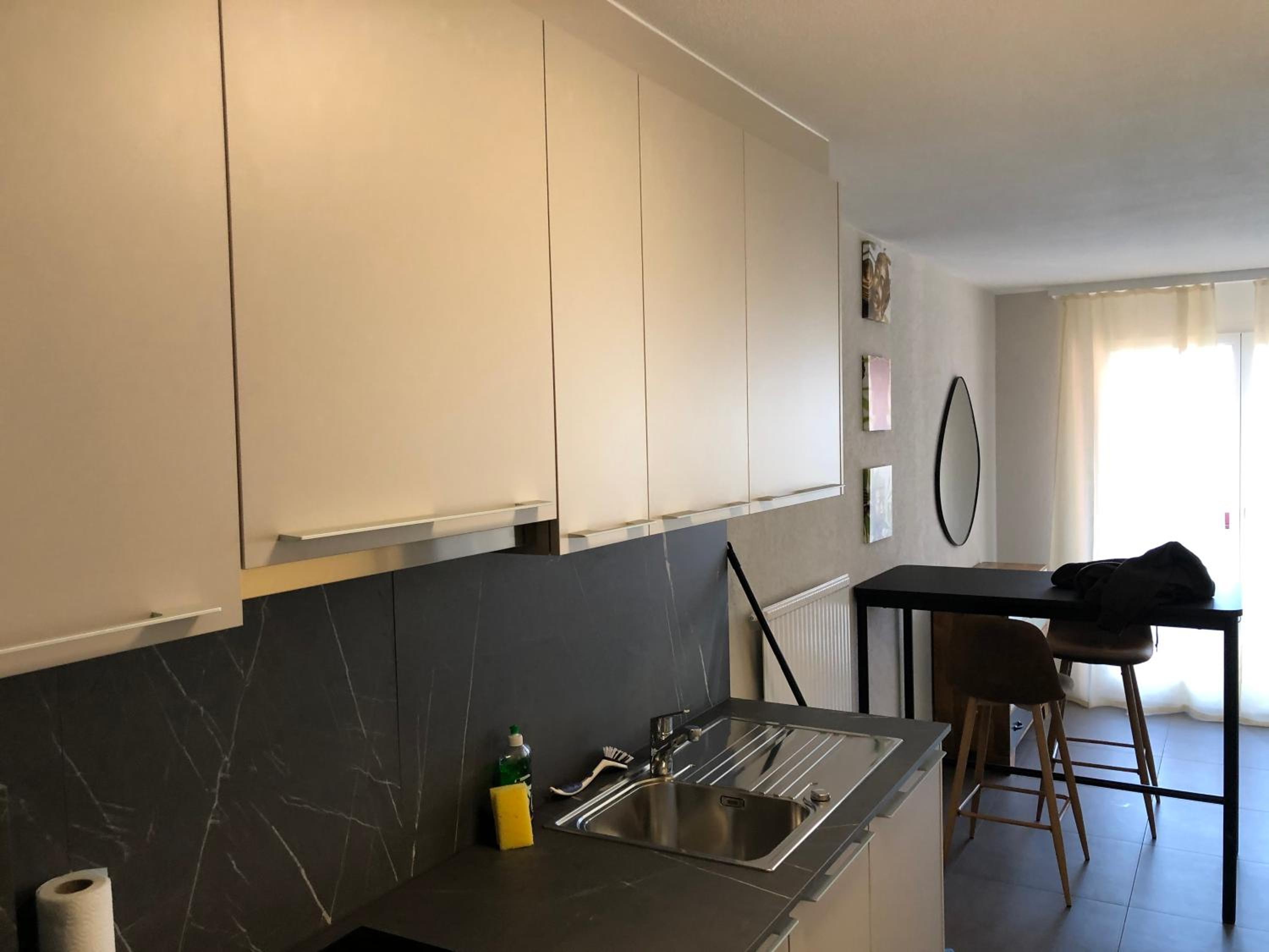 Amazing Studio In Lausanne Close To Epfl and Unil view 5