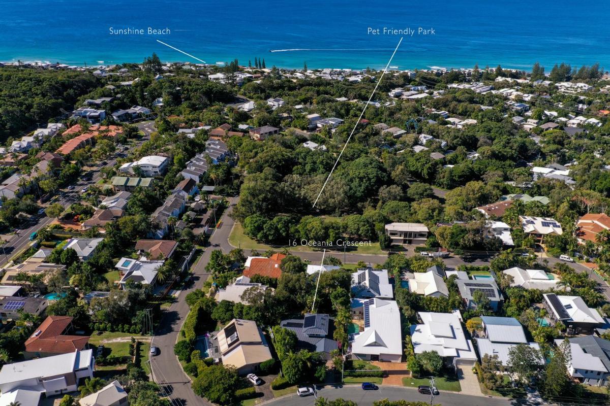 The Perfect Pet Friendly Escape, Sunshine Beach