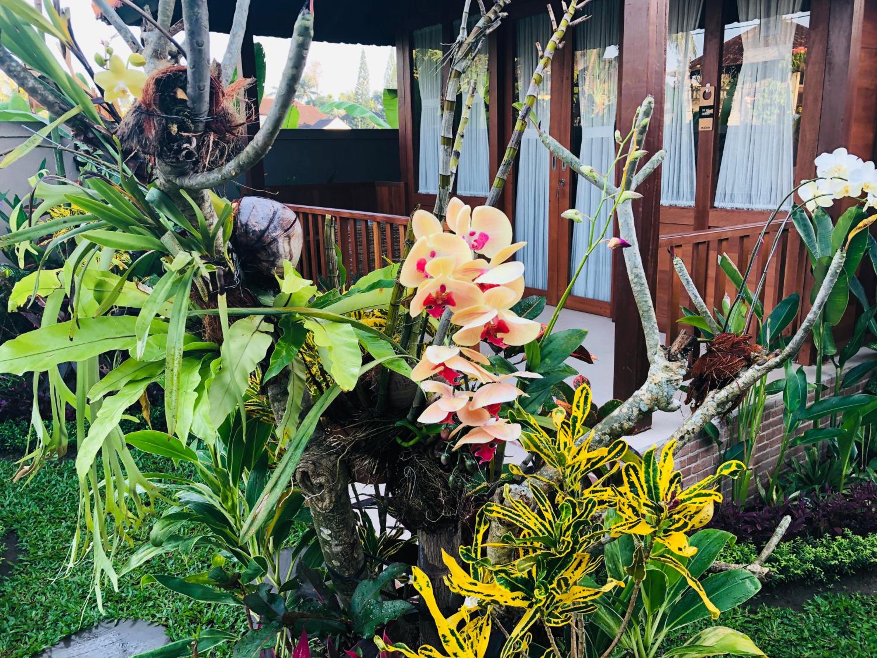 Umagama Ubud Villas