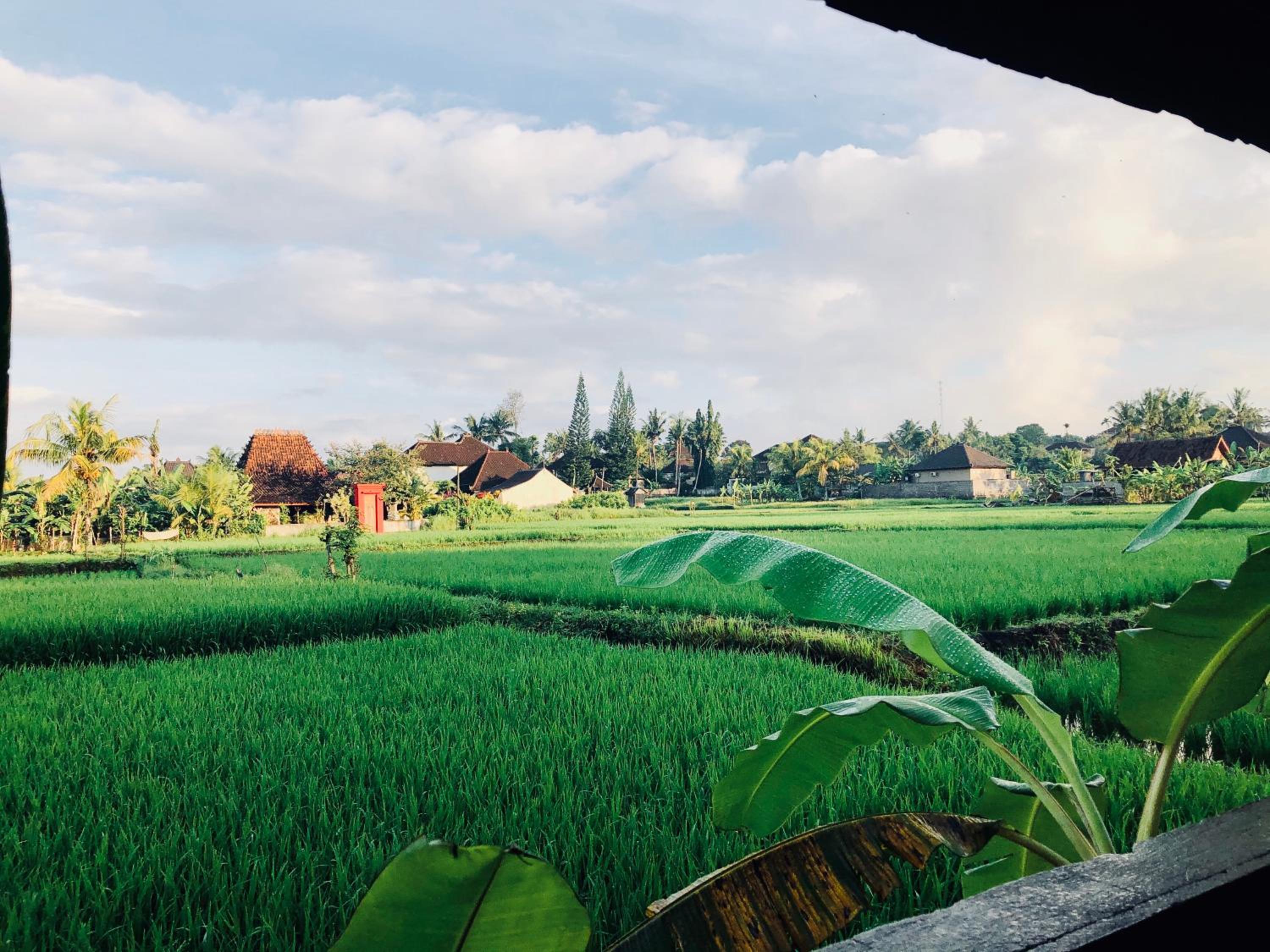 Umagama Ubud Villas