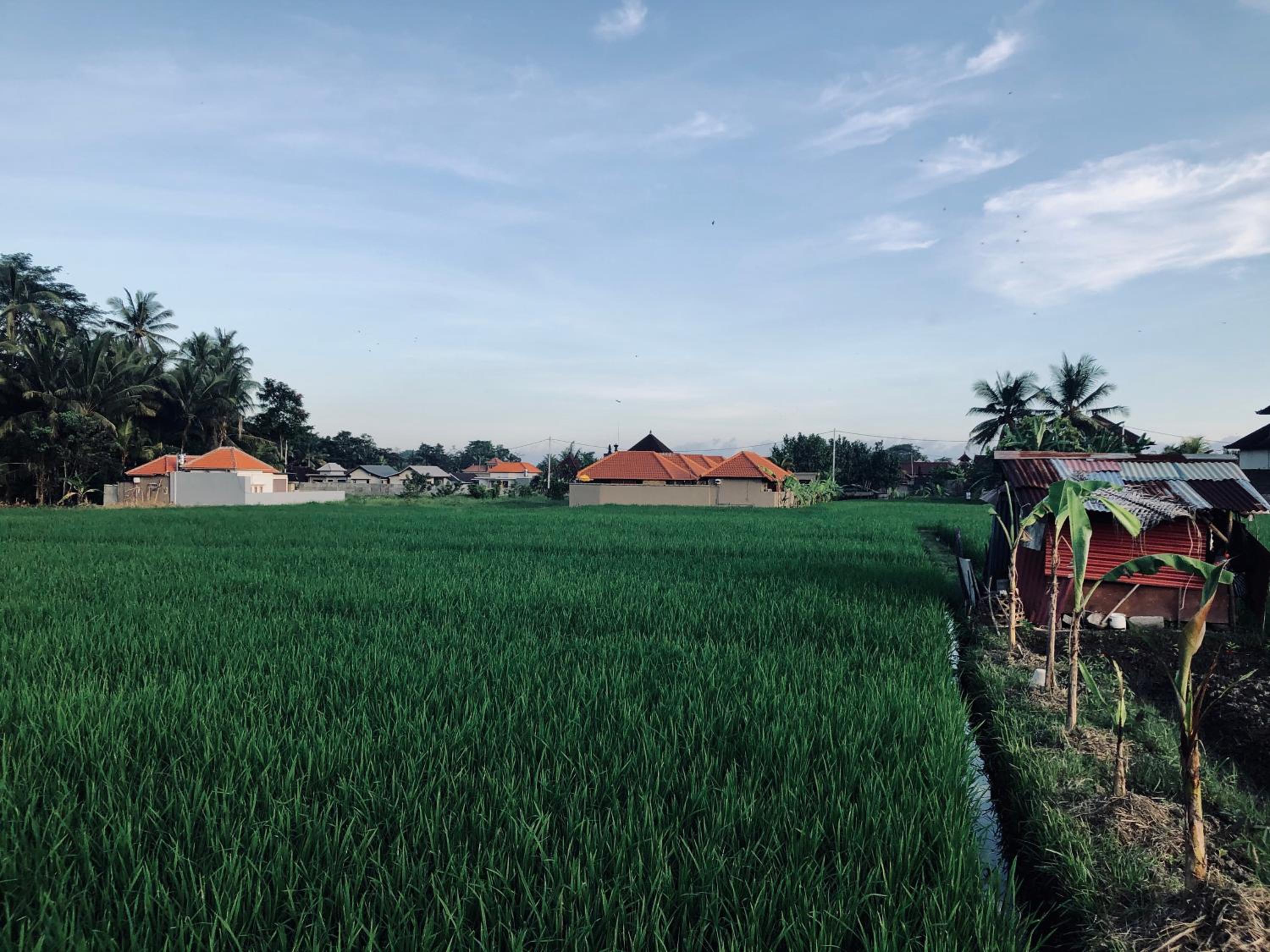 Umagama Ubud Villas