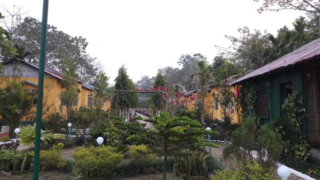 Mystic resort amidst Tea Garden view 5