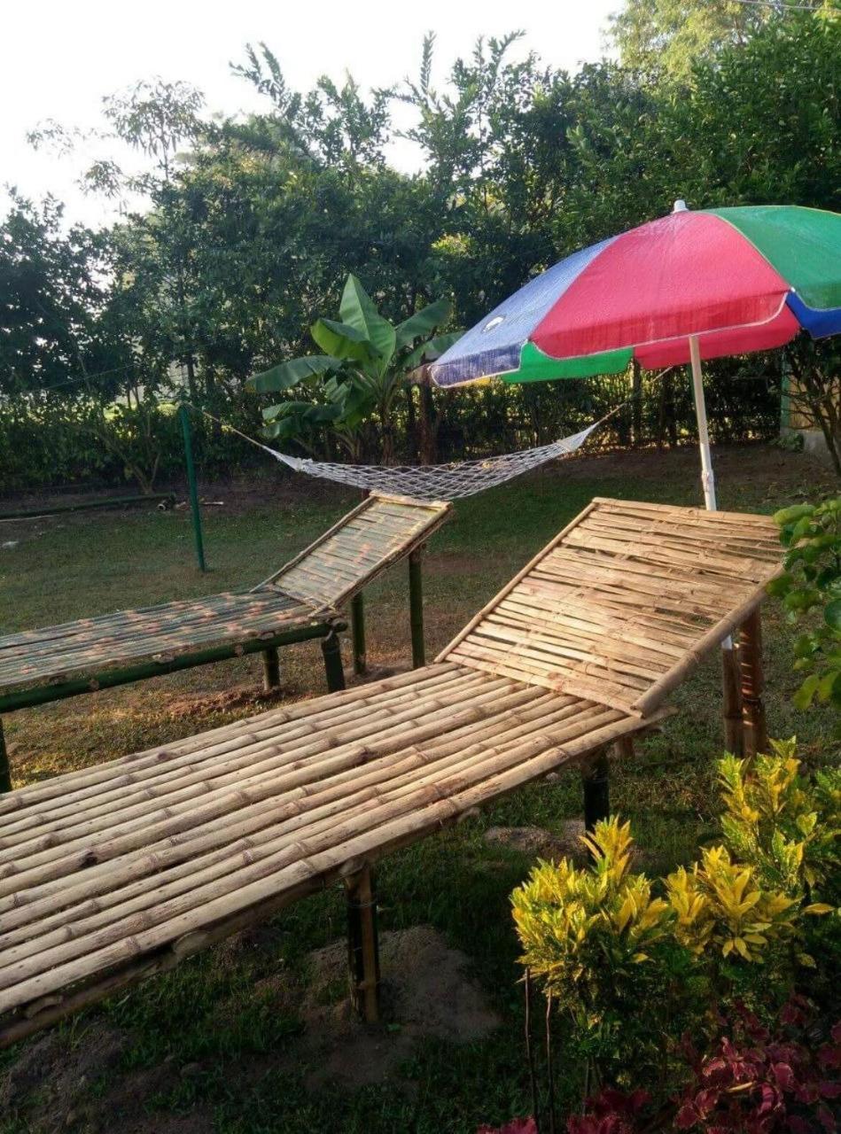 Mystic resort amidst Tea Garden view 3