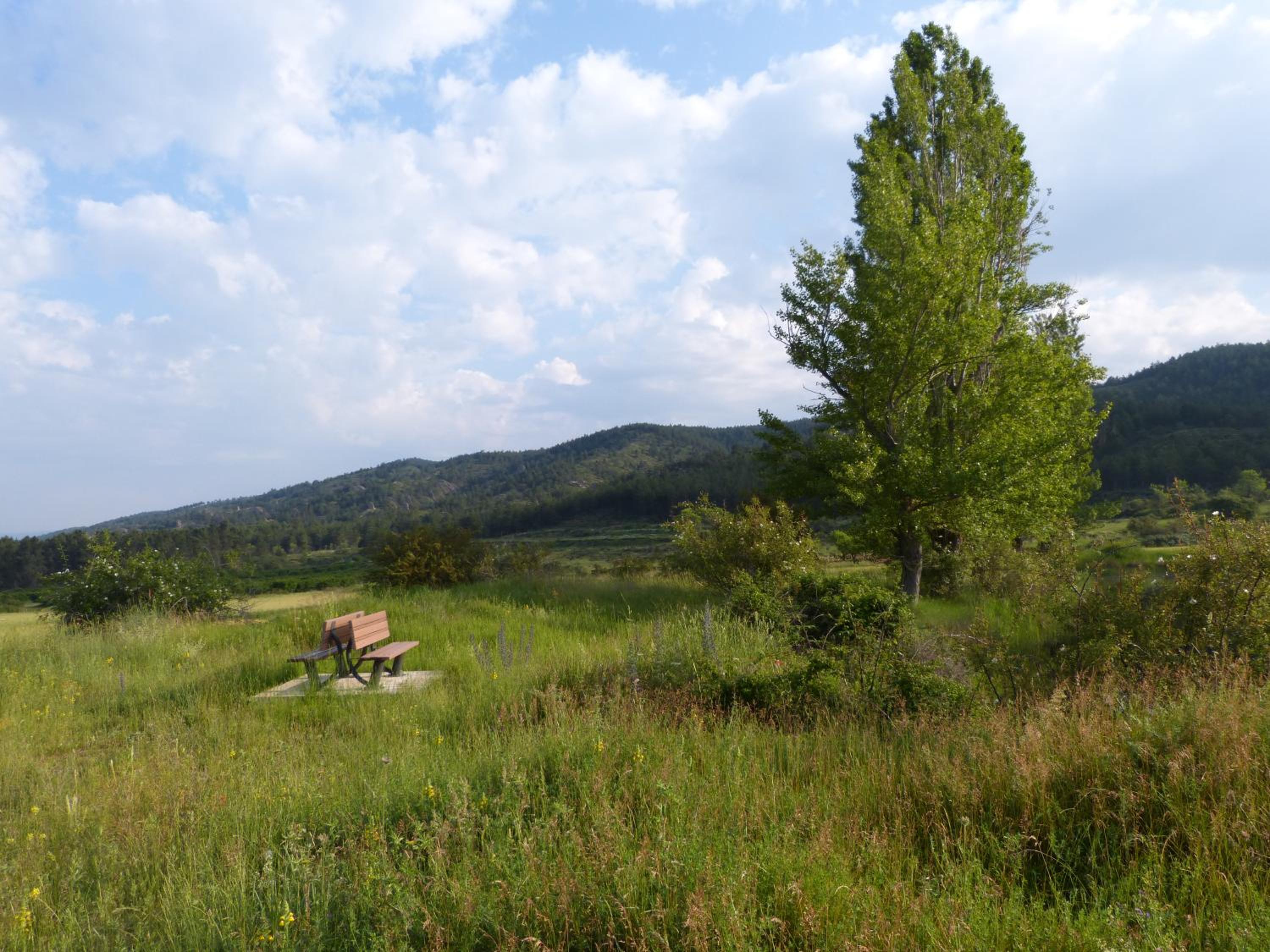 Photo 12
