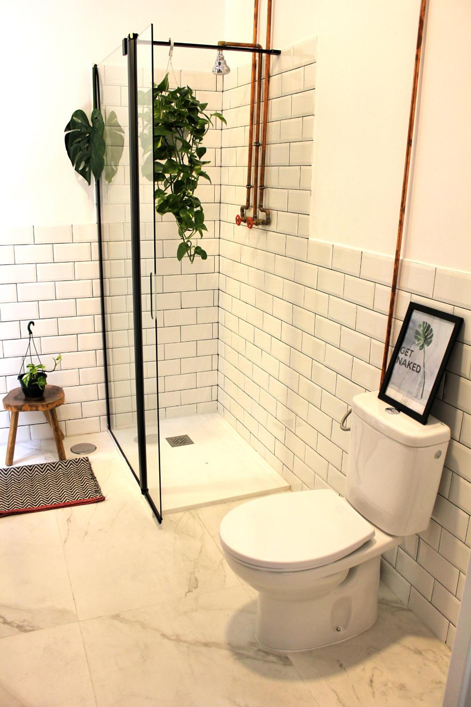 The Urban Jungle Hostel