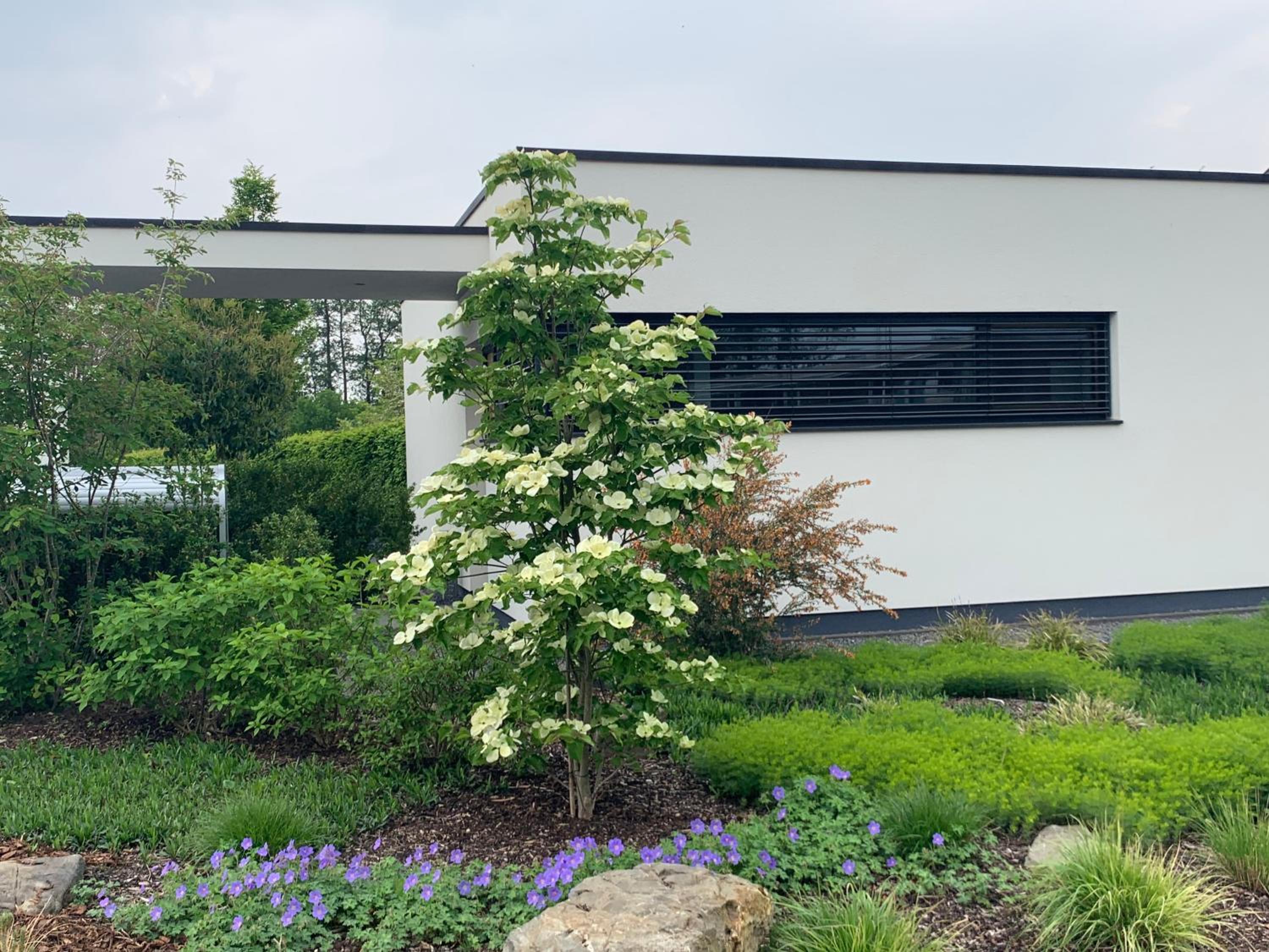 das Ferienhaus Auszeit