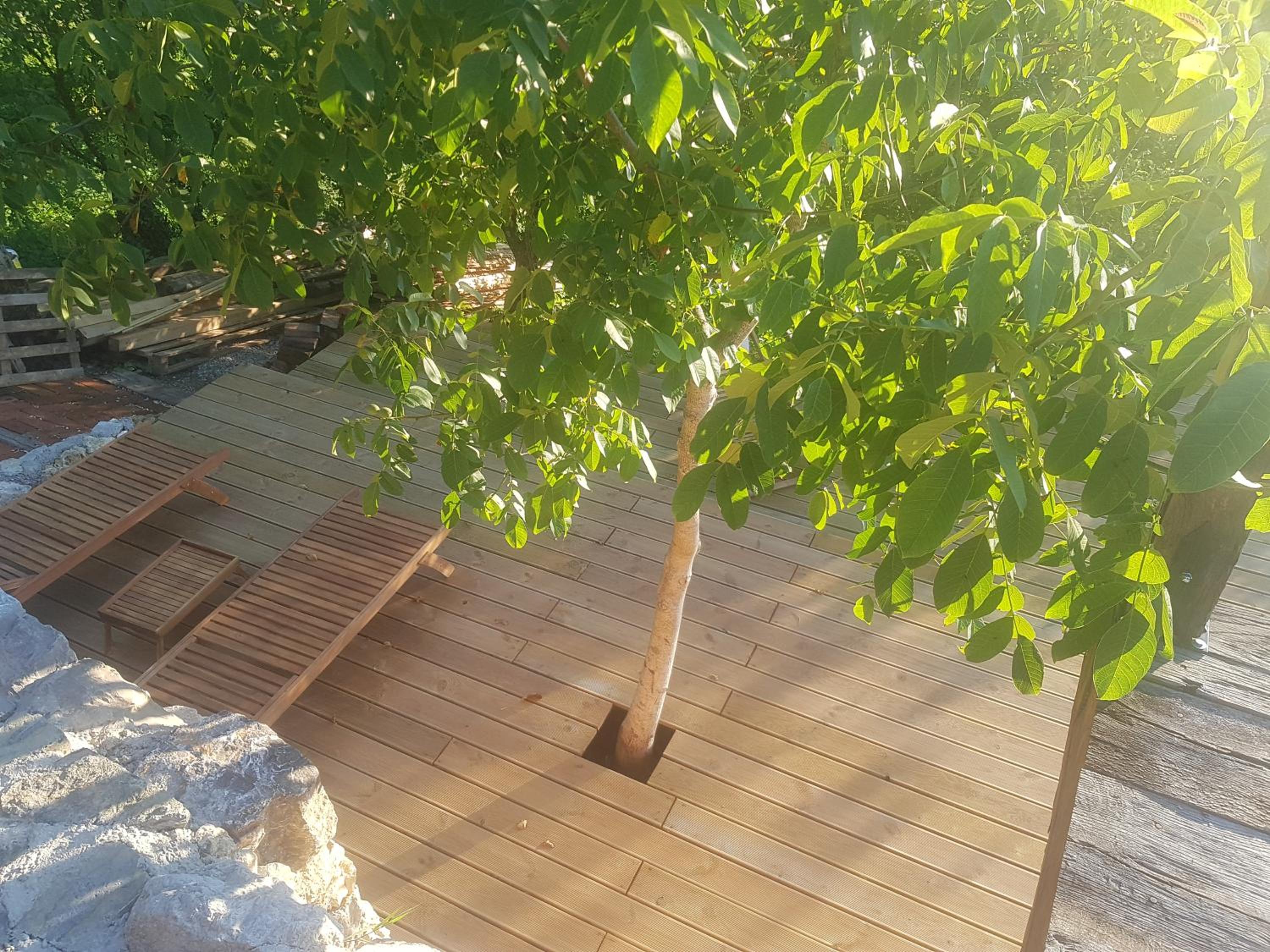 Brandy House Hedonica view 4