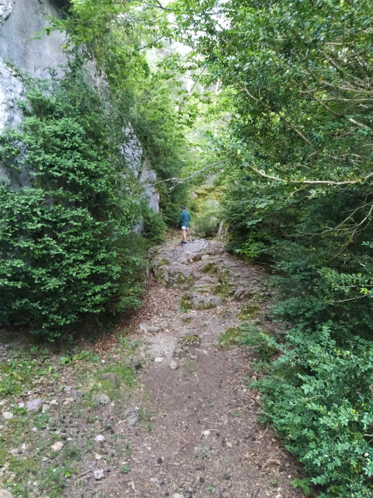 Photo 32