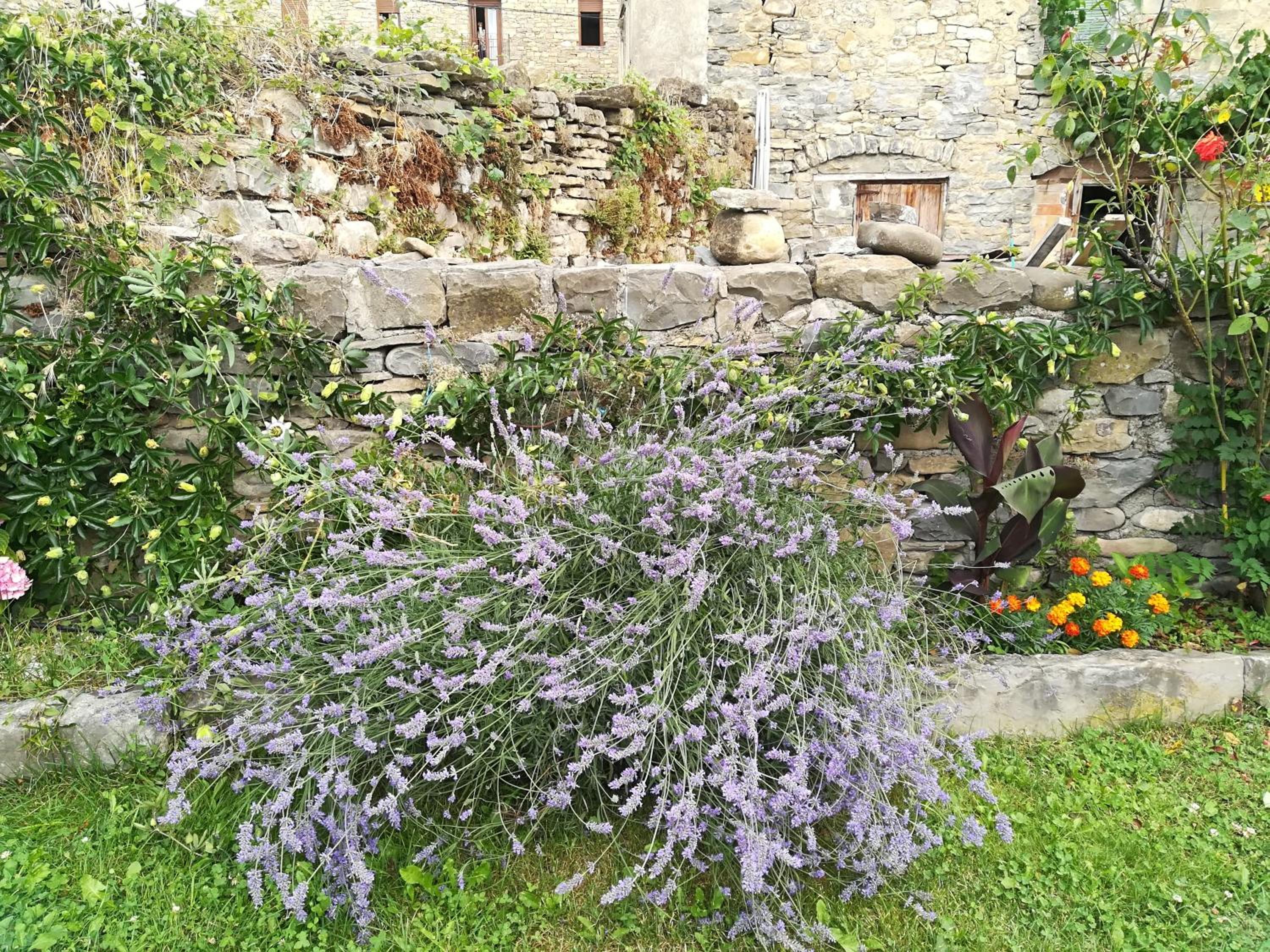 Photo 24