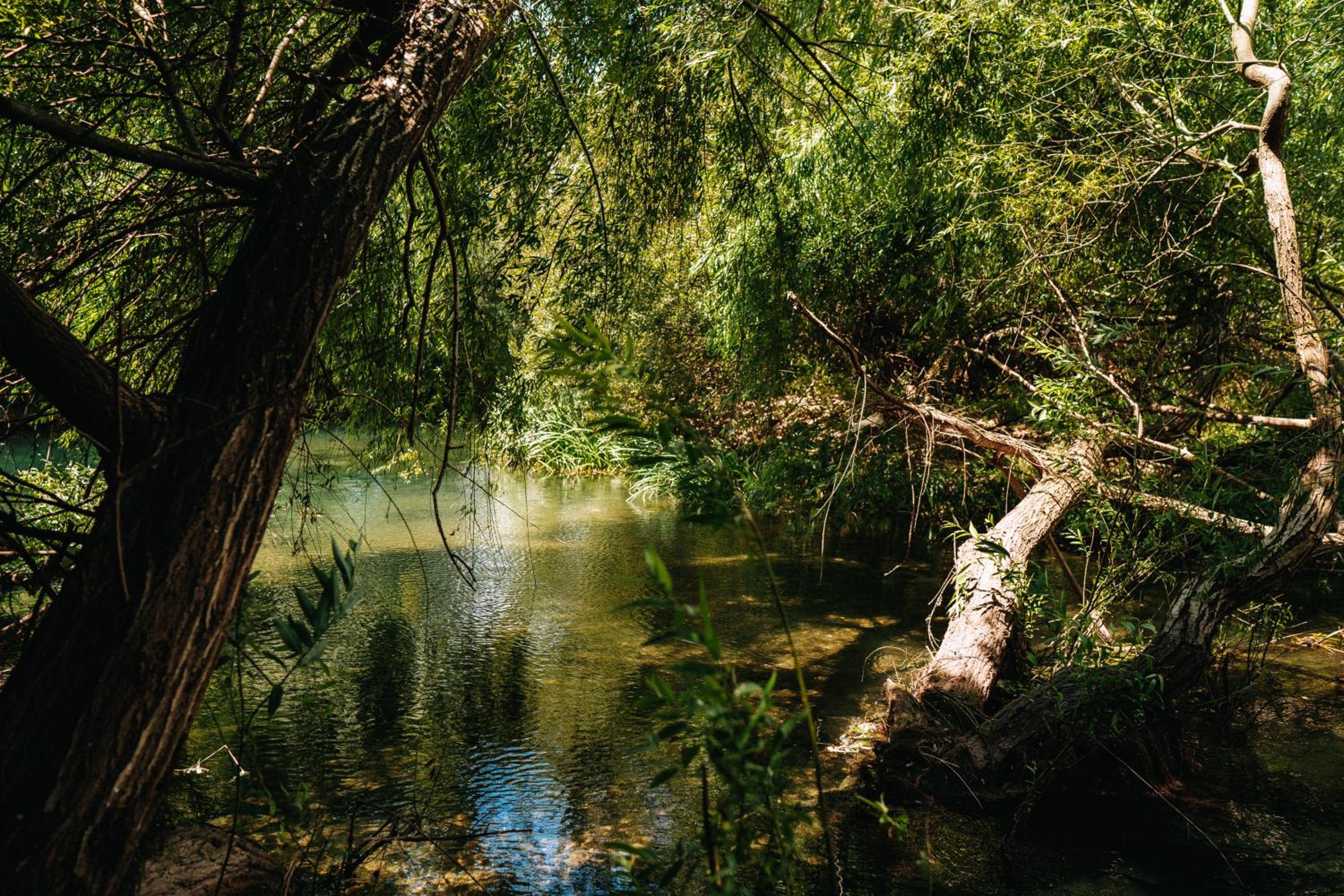 Photo 38