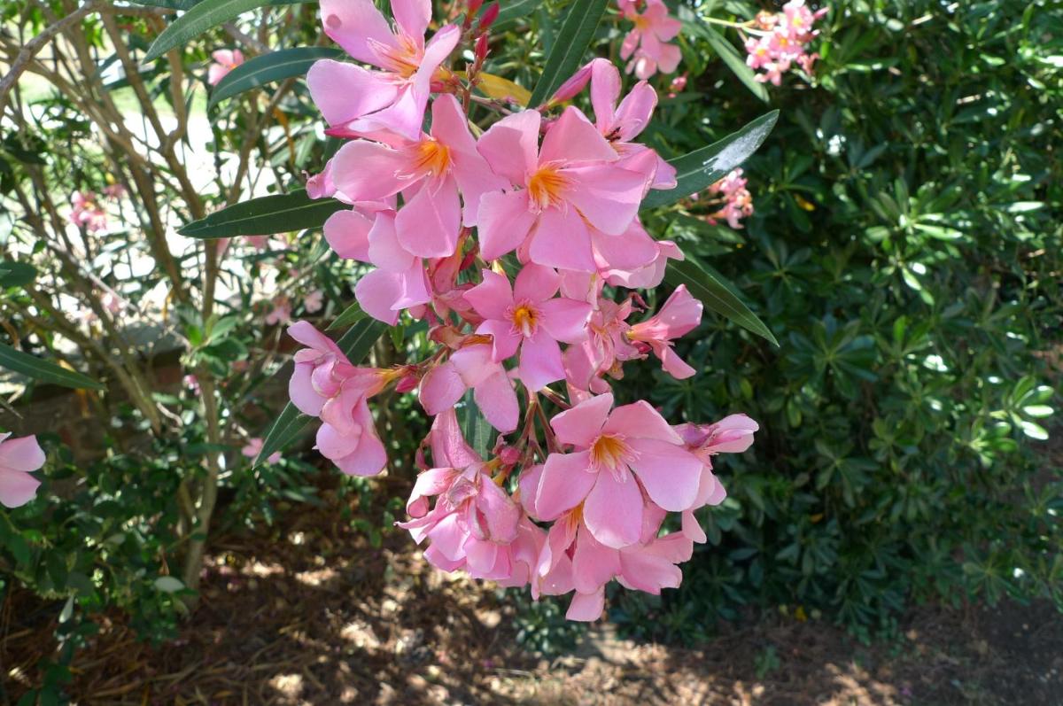 Photo 32