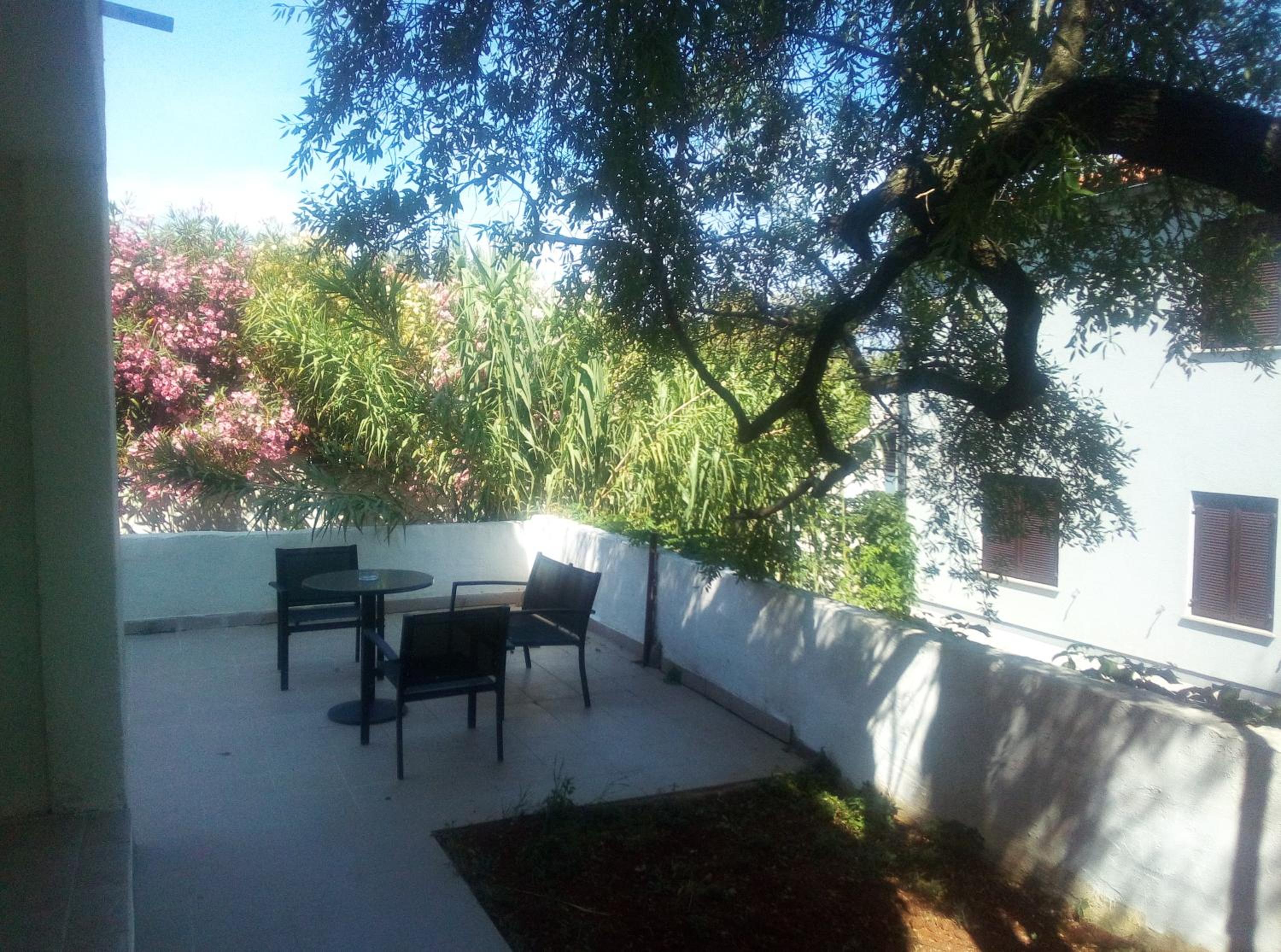 Apartments and rooms Camelia view 3