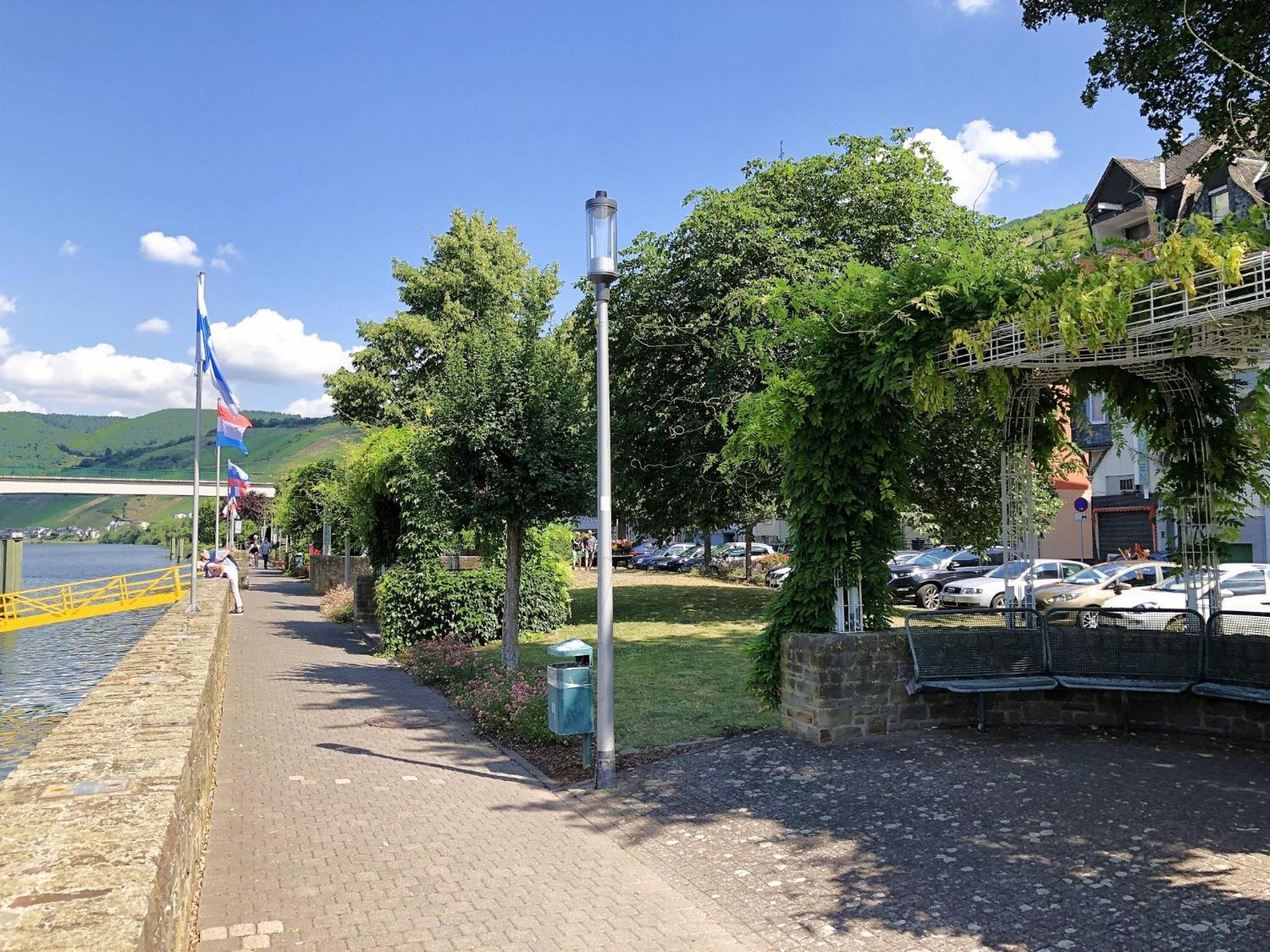 Photo 19