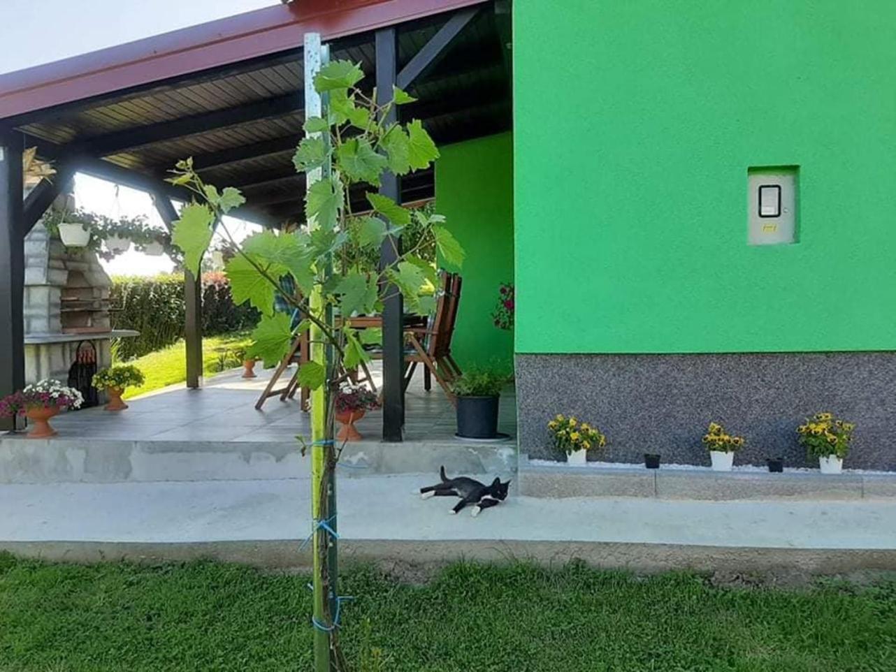 Ruralna kuća za odmor Viktorija view 5