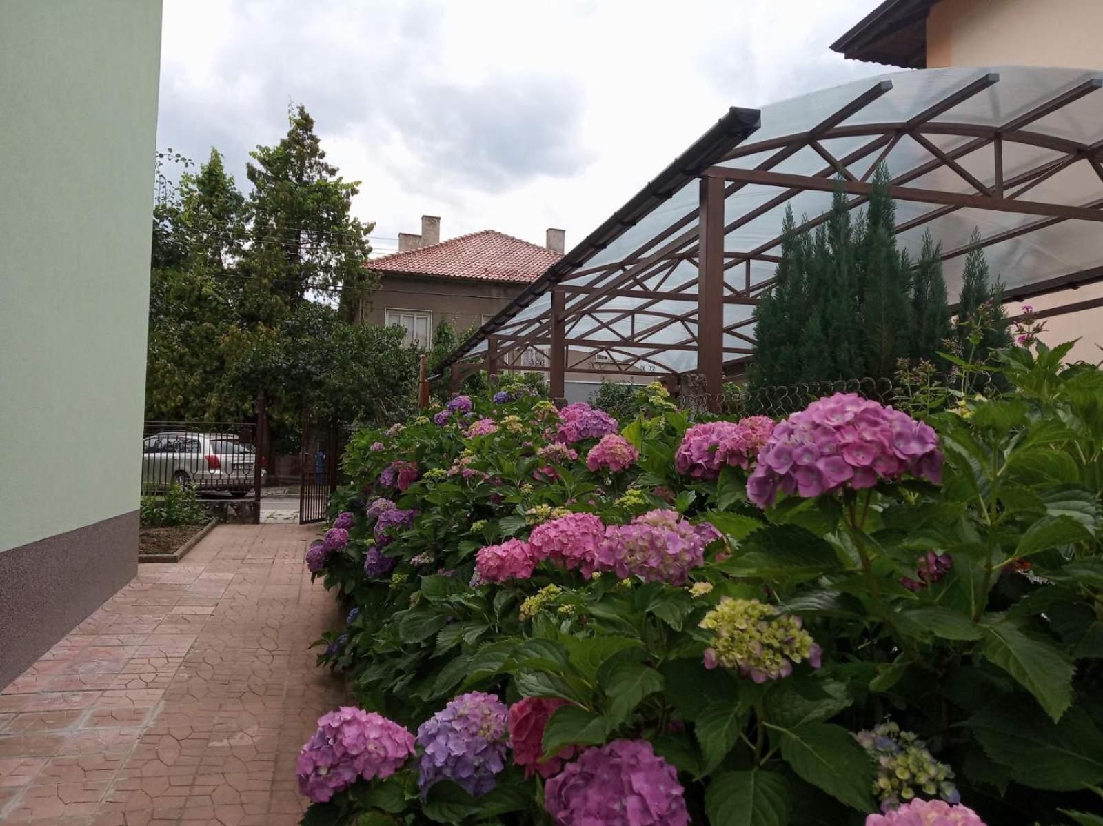Simada Green Guesthouse