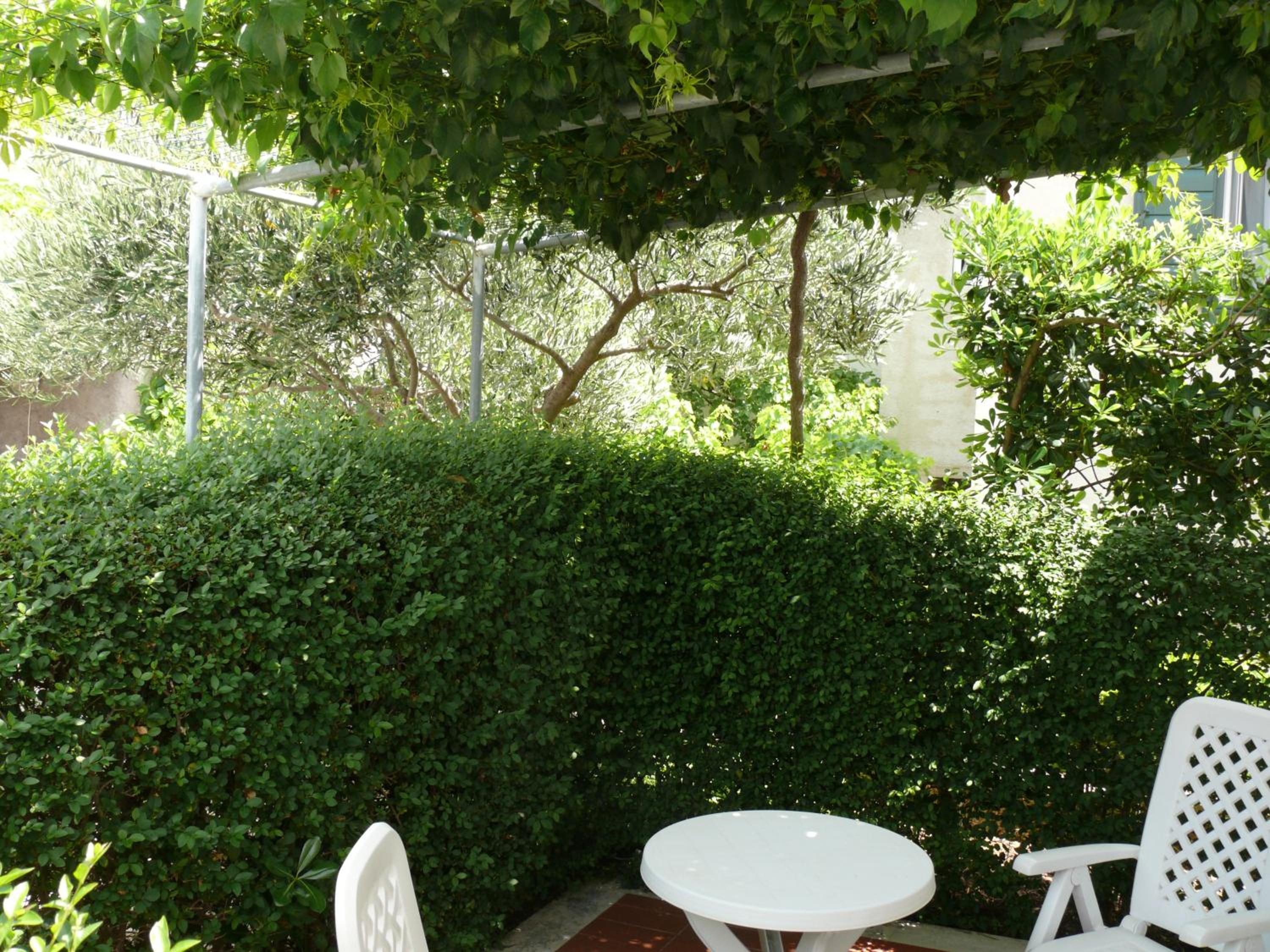 Villa Fontana Apartment Olive