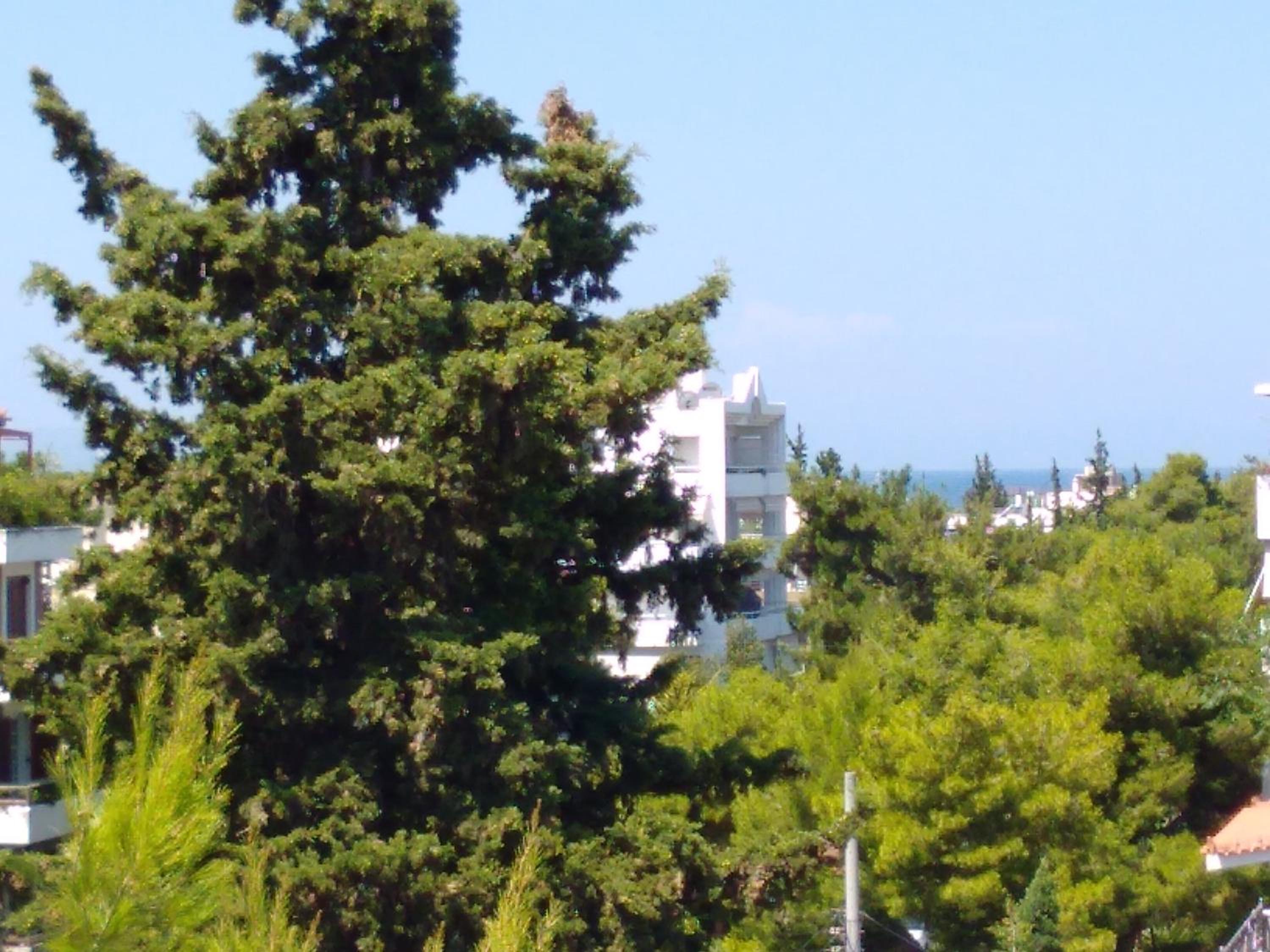 Glyfada Seabreeze Apartment
