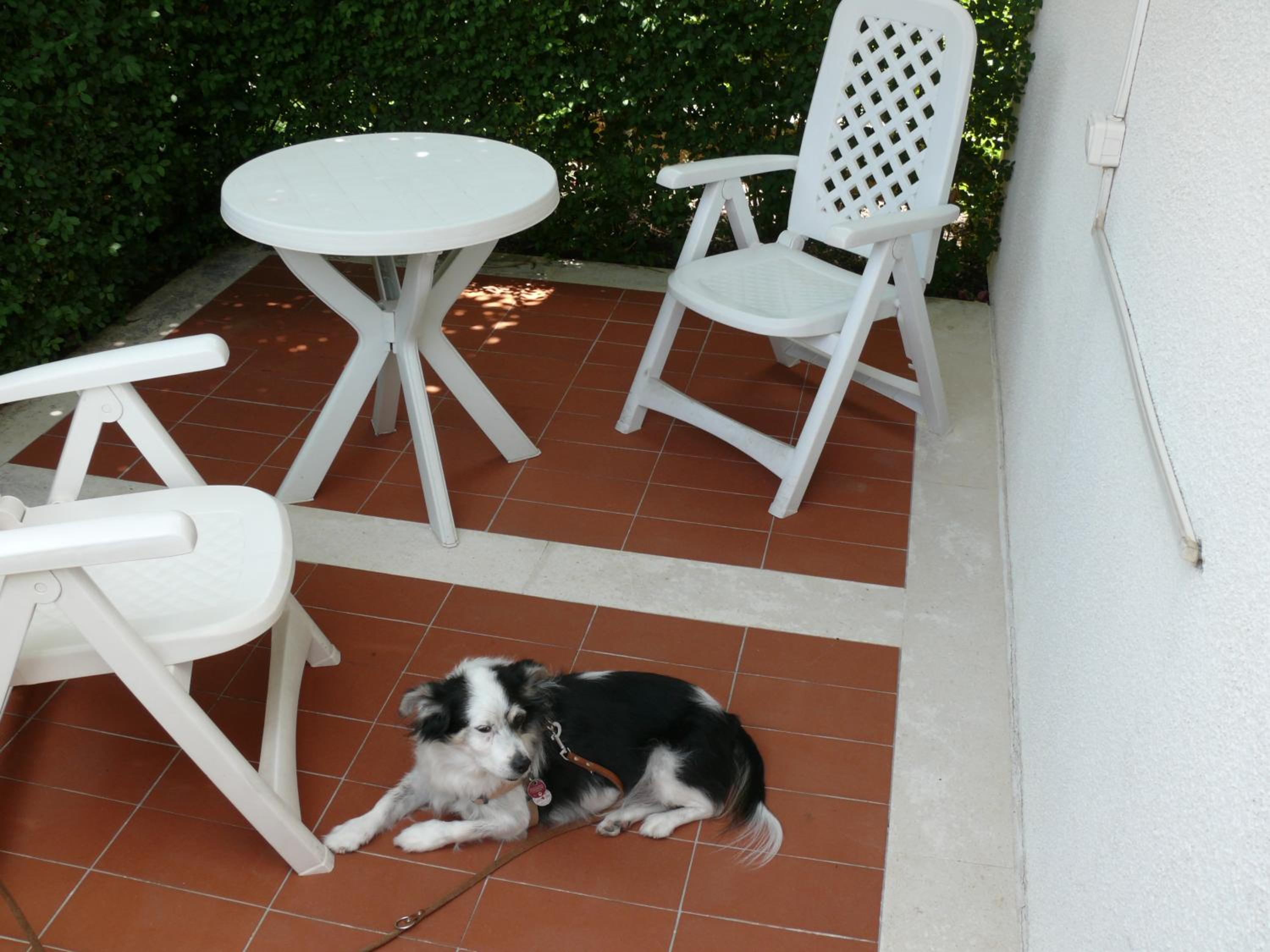 Villa Fontana Apartment Olive