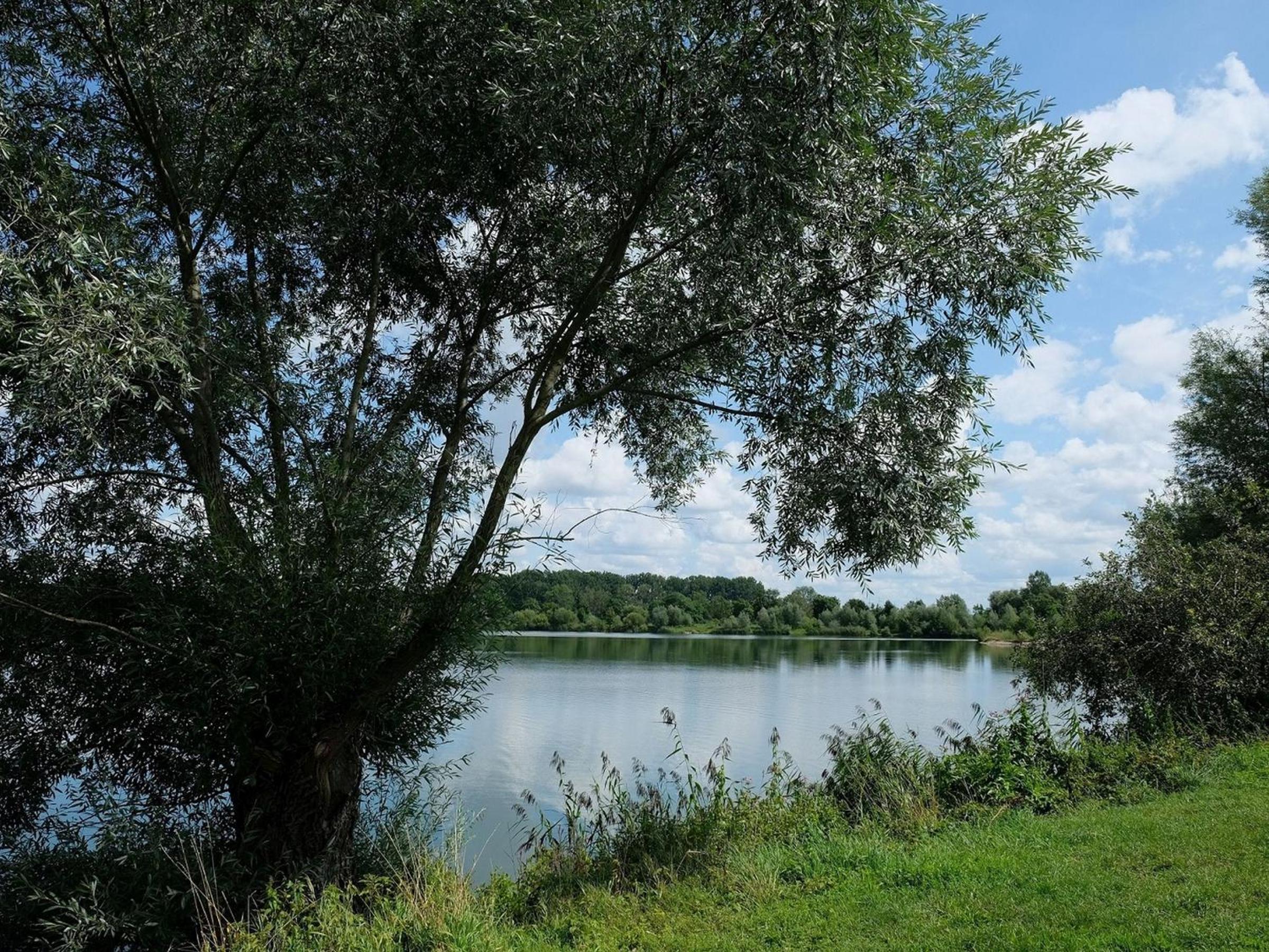 Pension - Ferienwohnungen Steinle