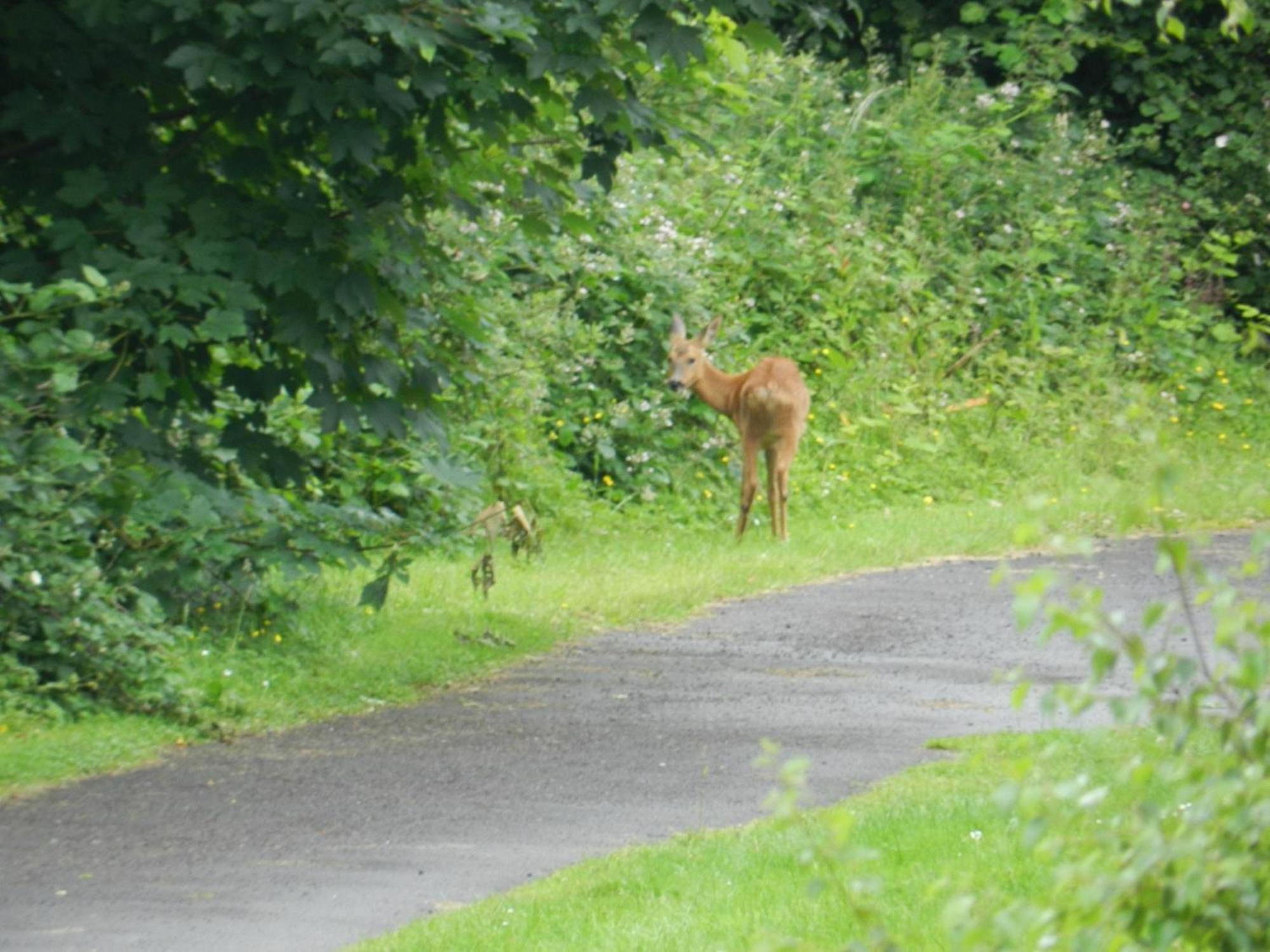 Greenways Valley Holiday Park