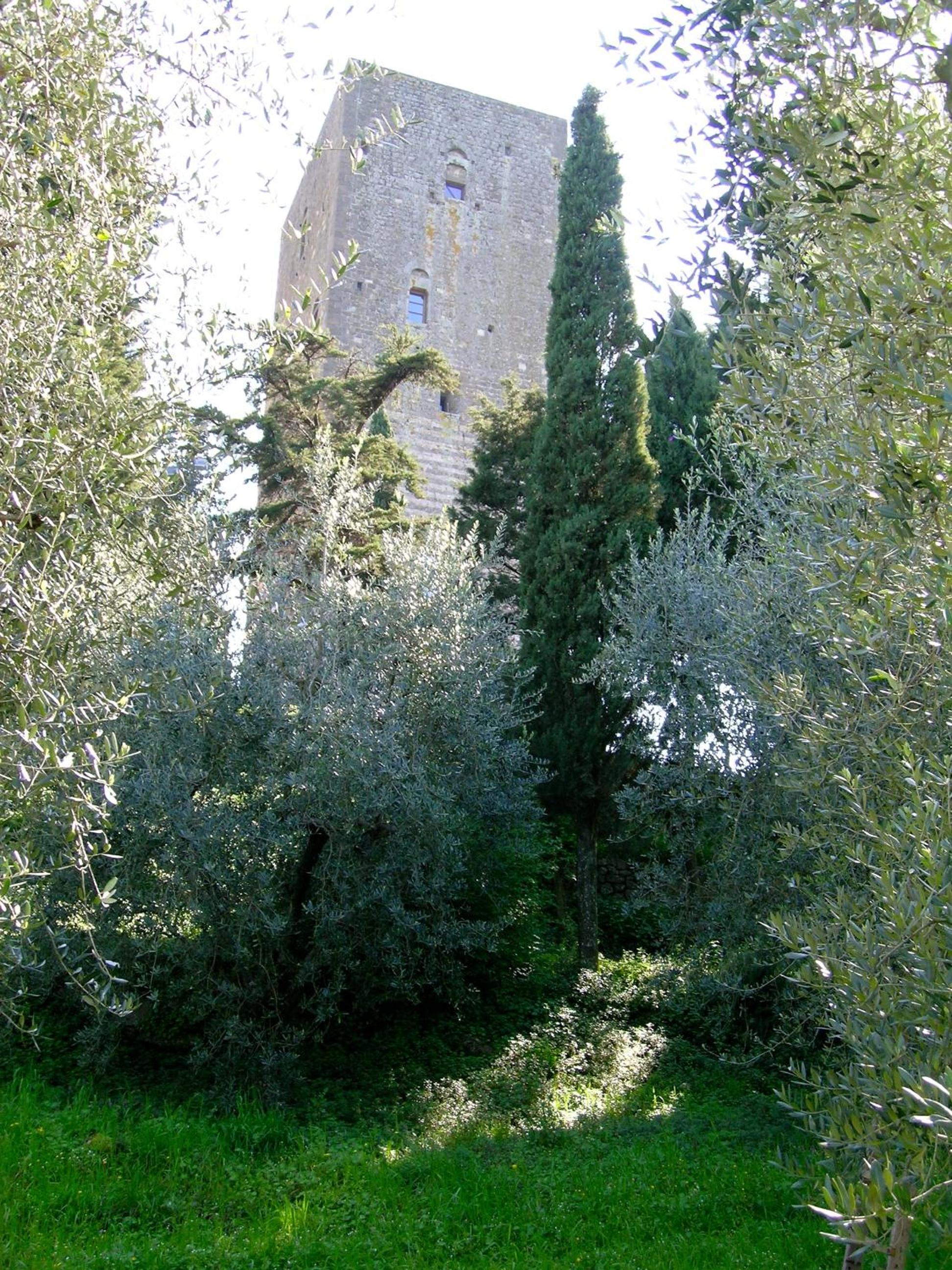 Photo 74