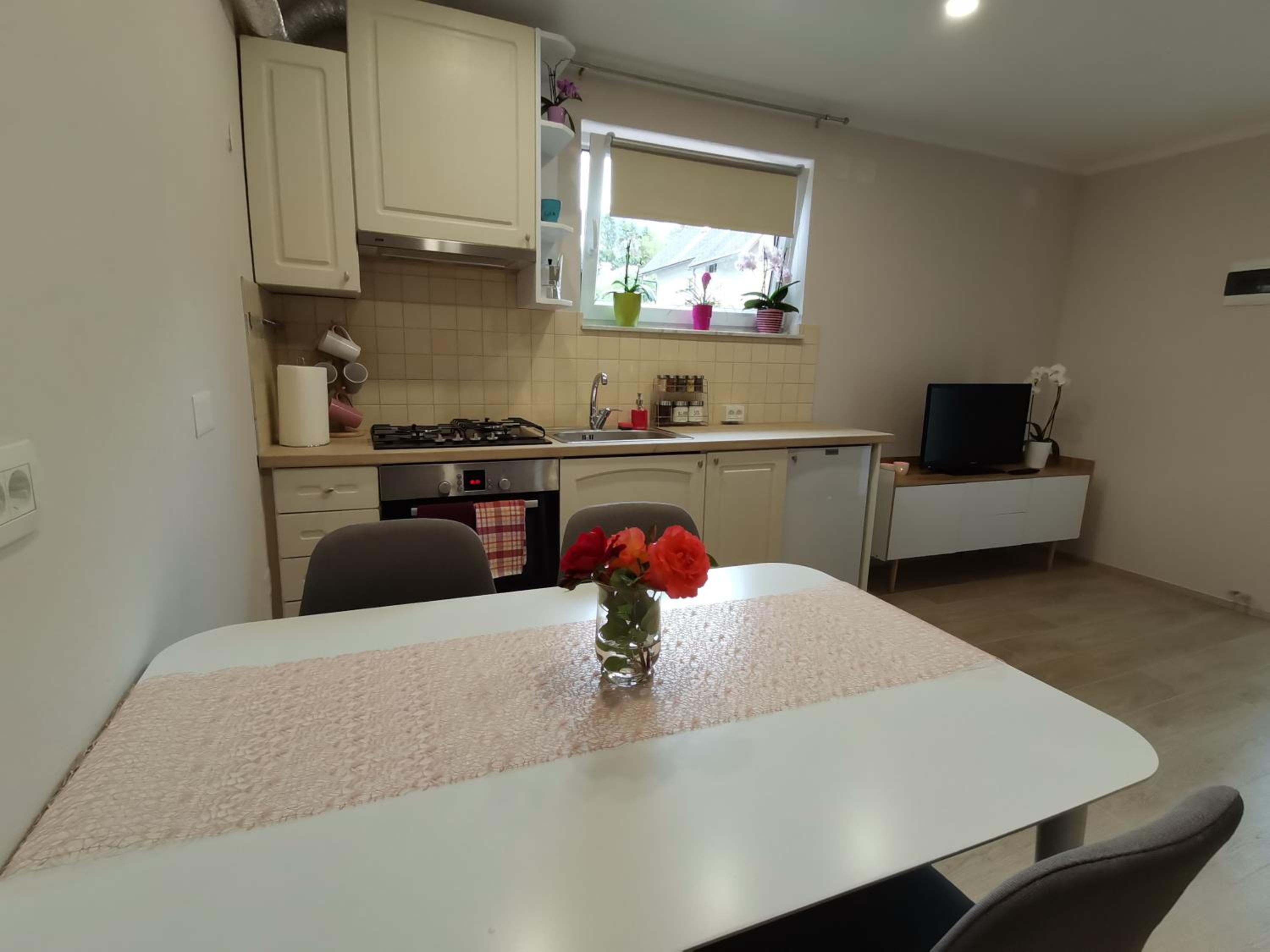 Apartma VRTNICA view 5