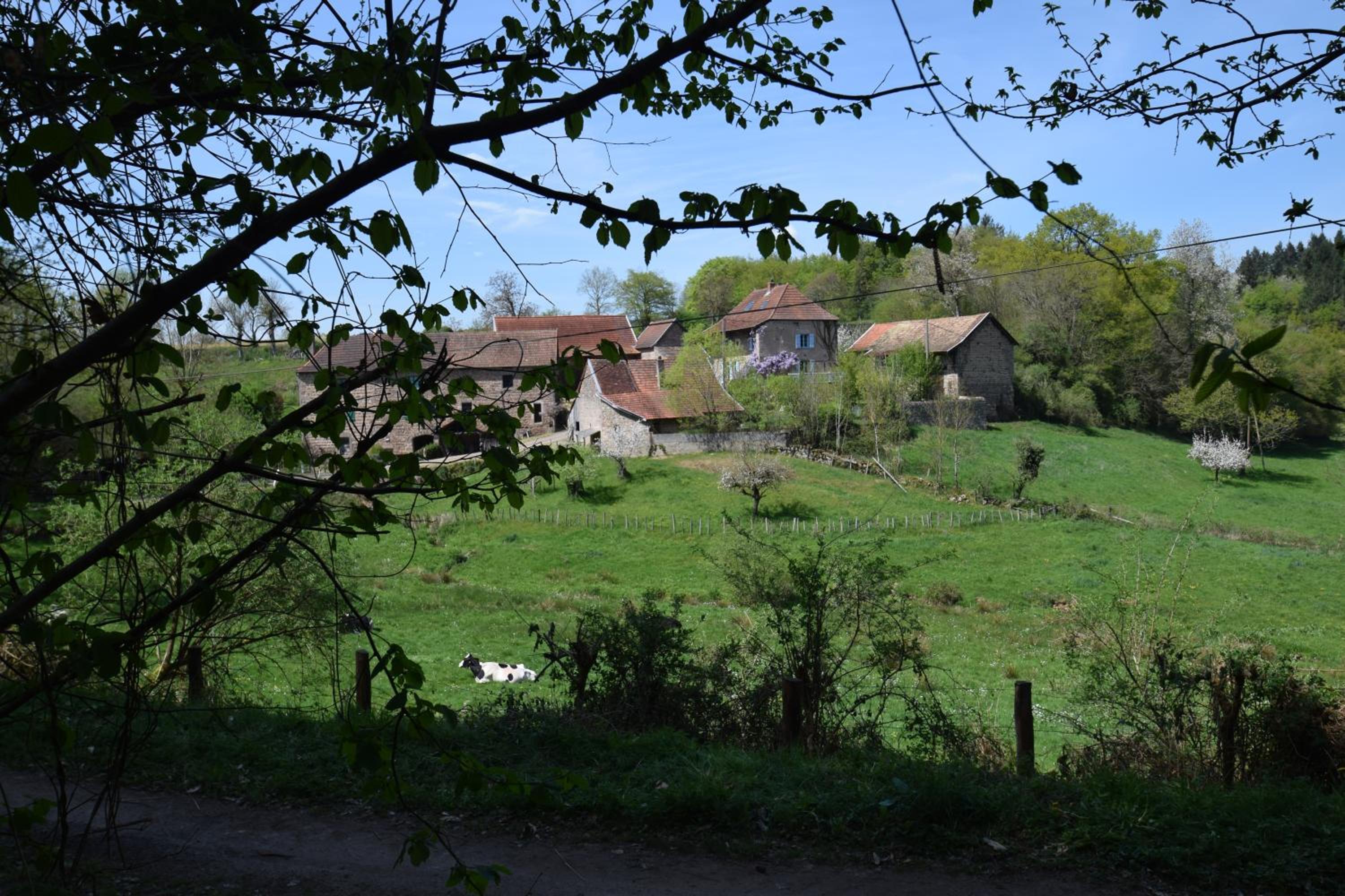 Photo 29