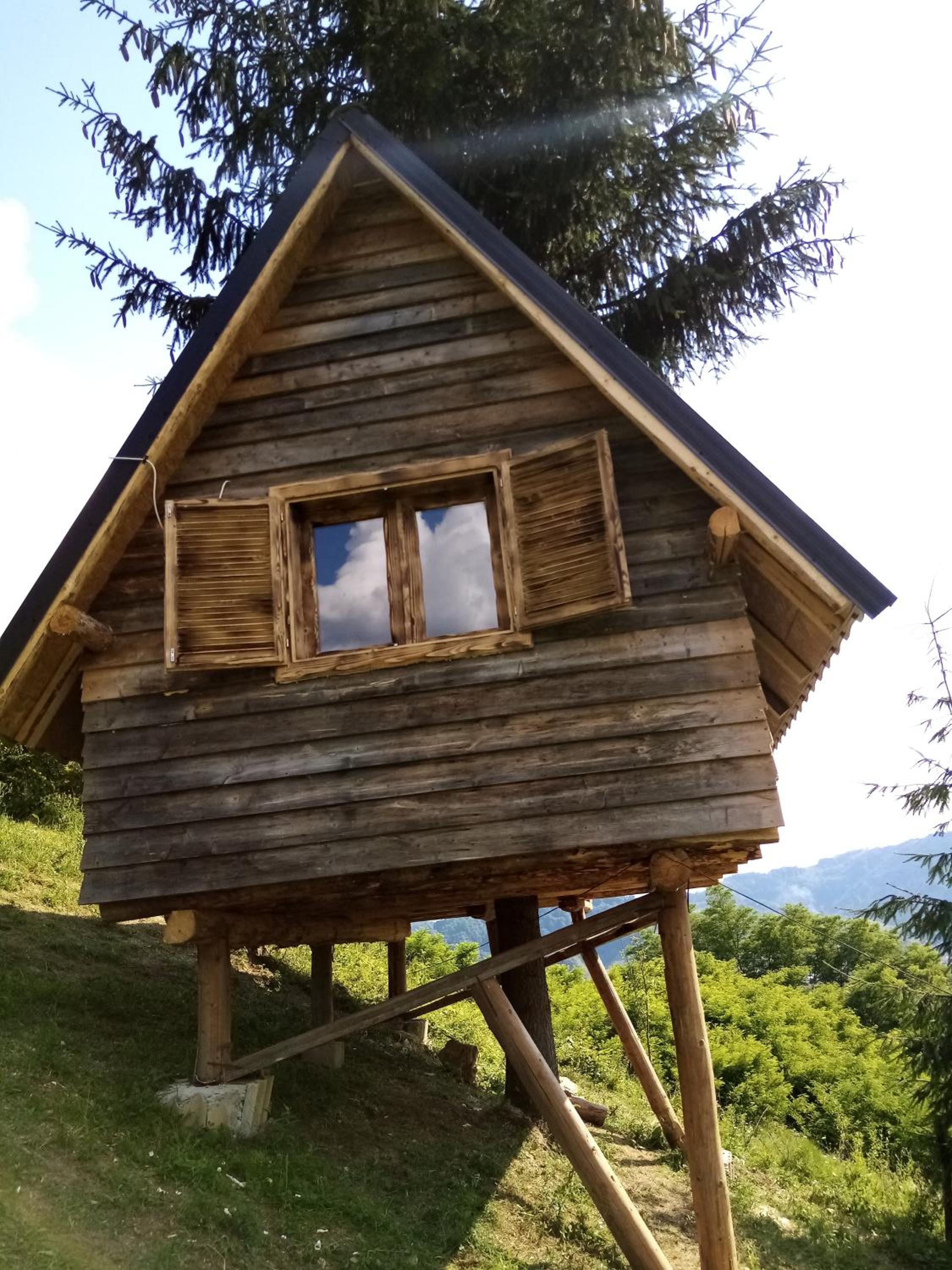 Photo 15