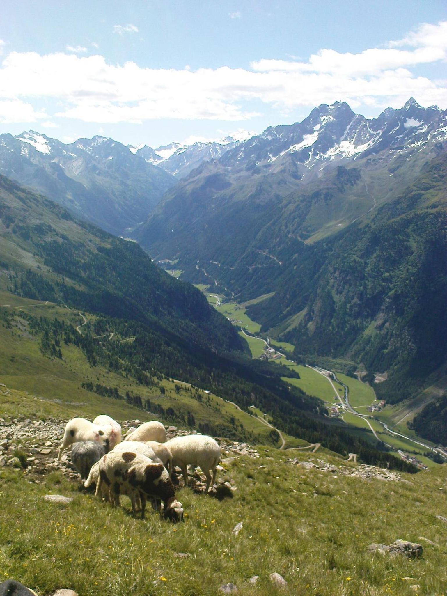 Photo 25