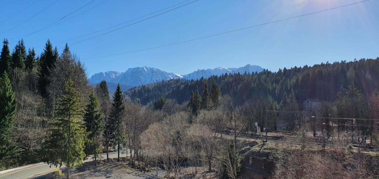 Pensiunea Alpin Predeal view 5