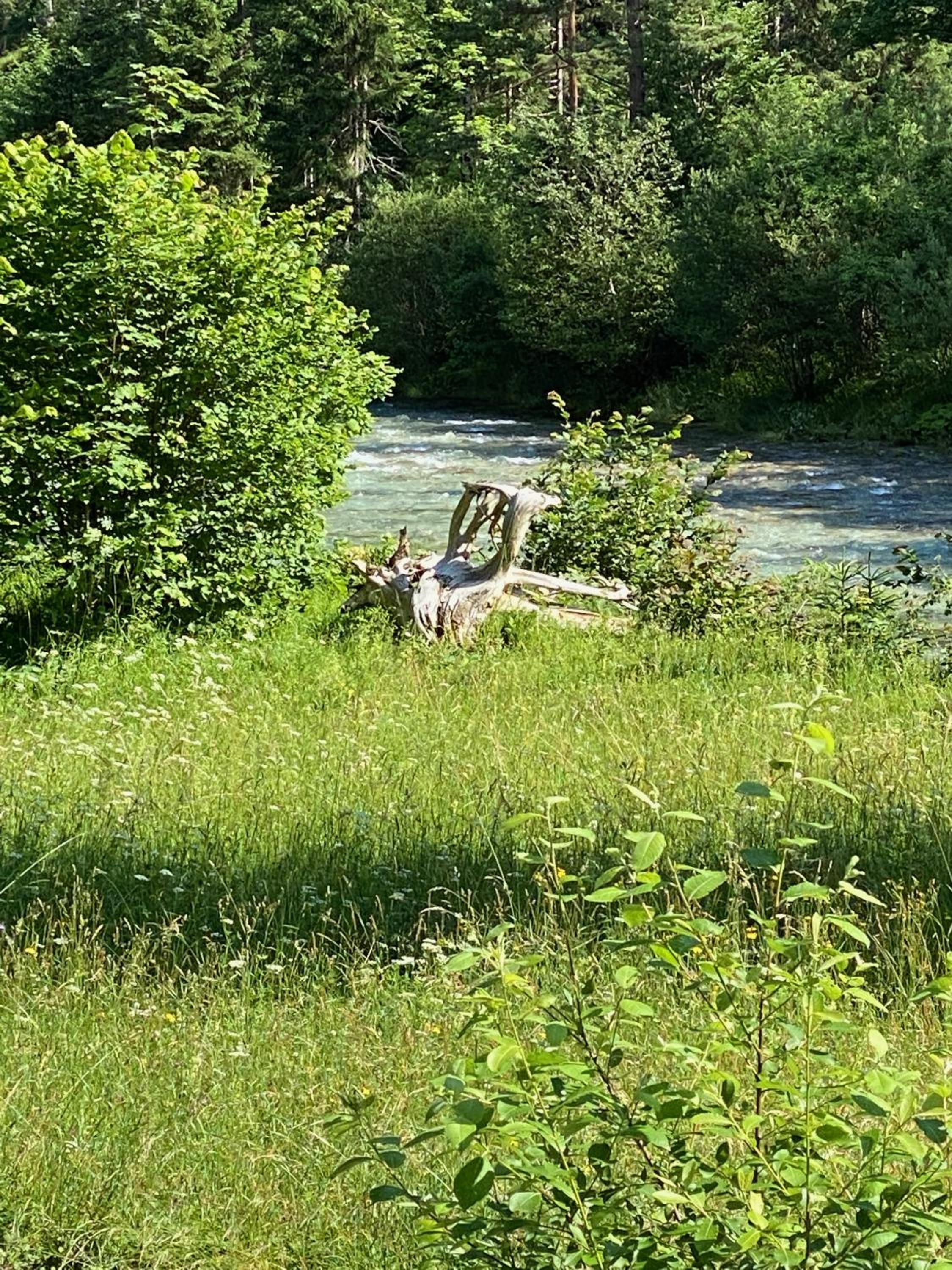 STEYR RIVER LODGE