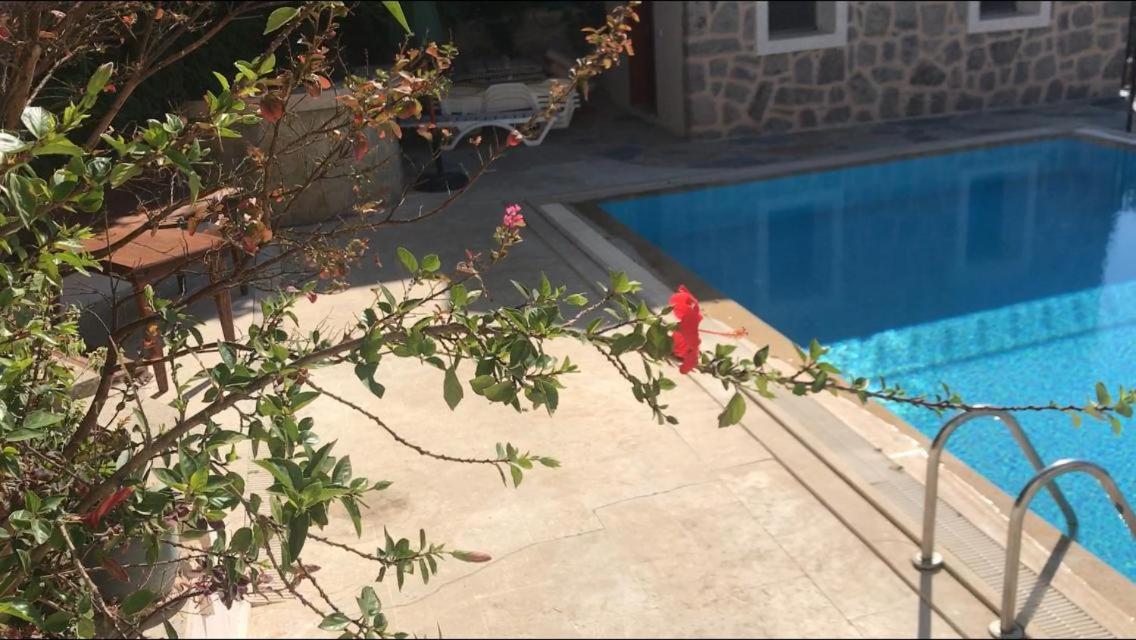 Photo 43