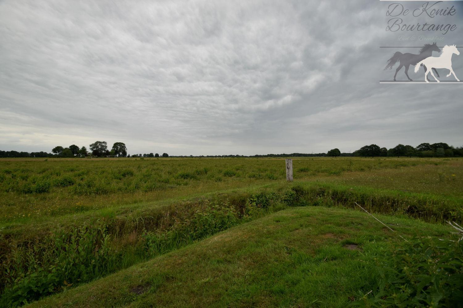 B&B De Konik Bourtange view 4
