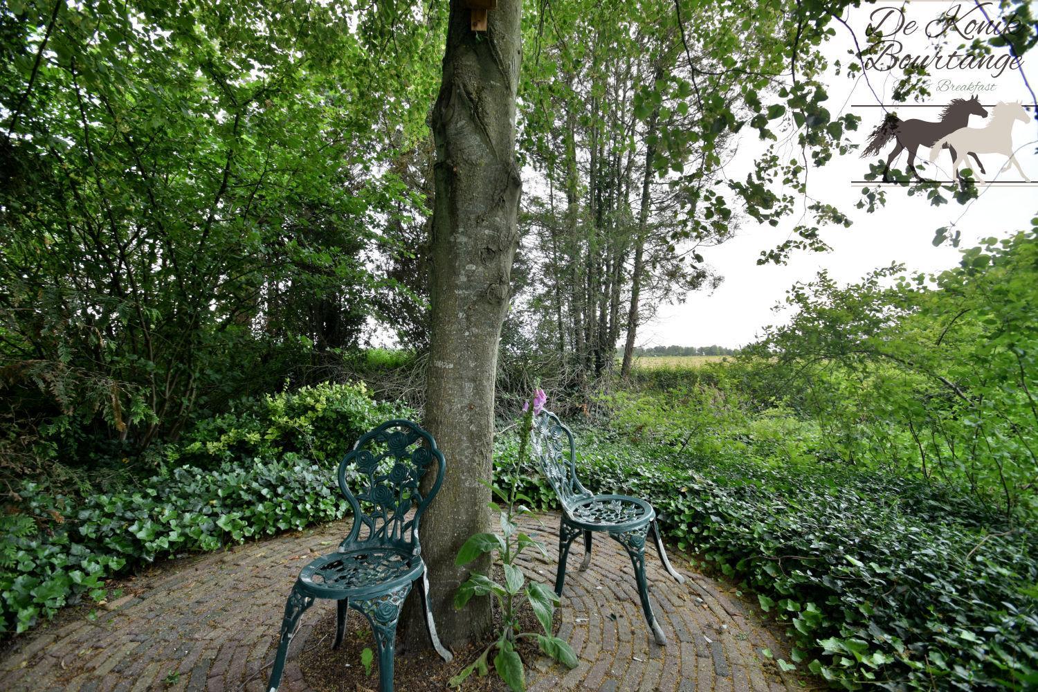 B&B De Konik Bourtange view 3