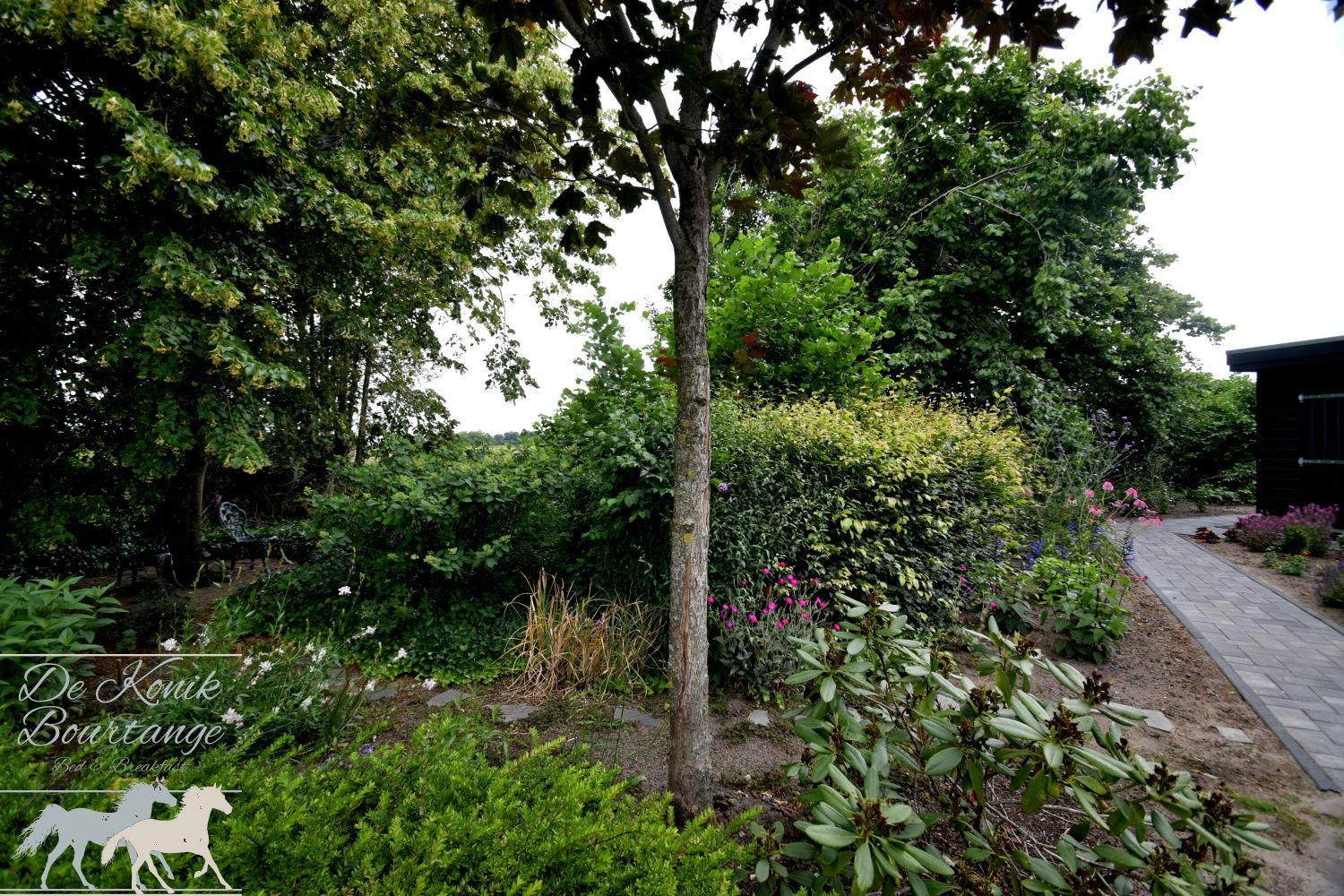 Photo 34