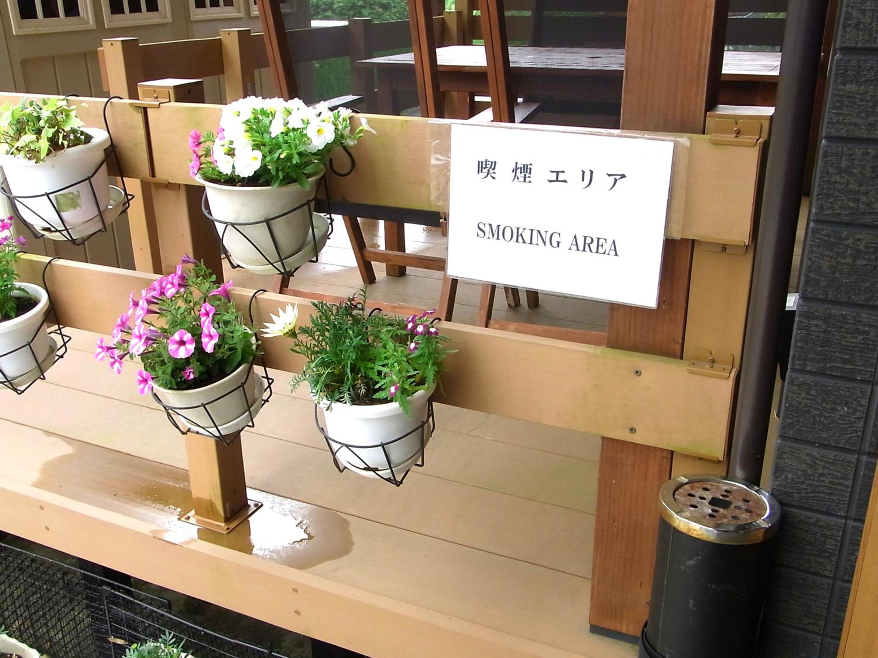 Photo 44