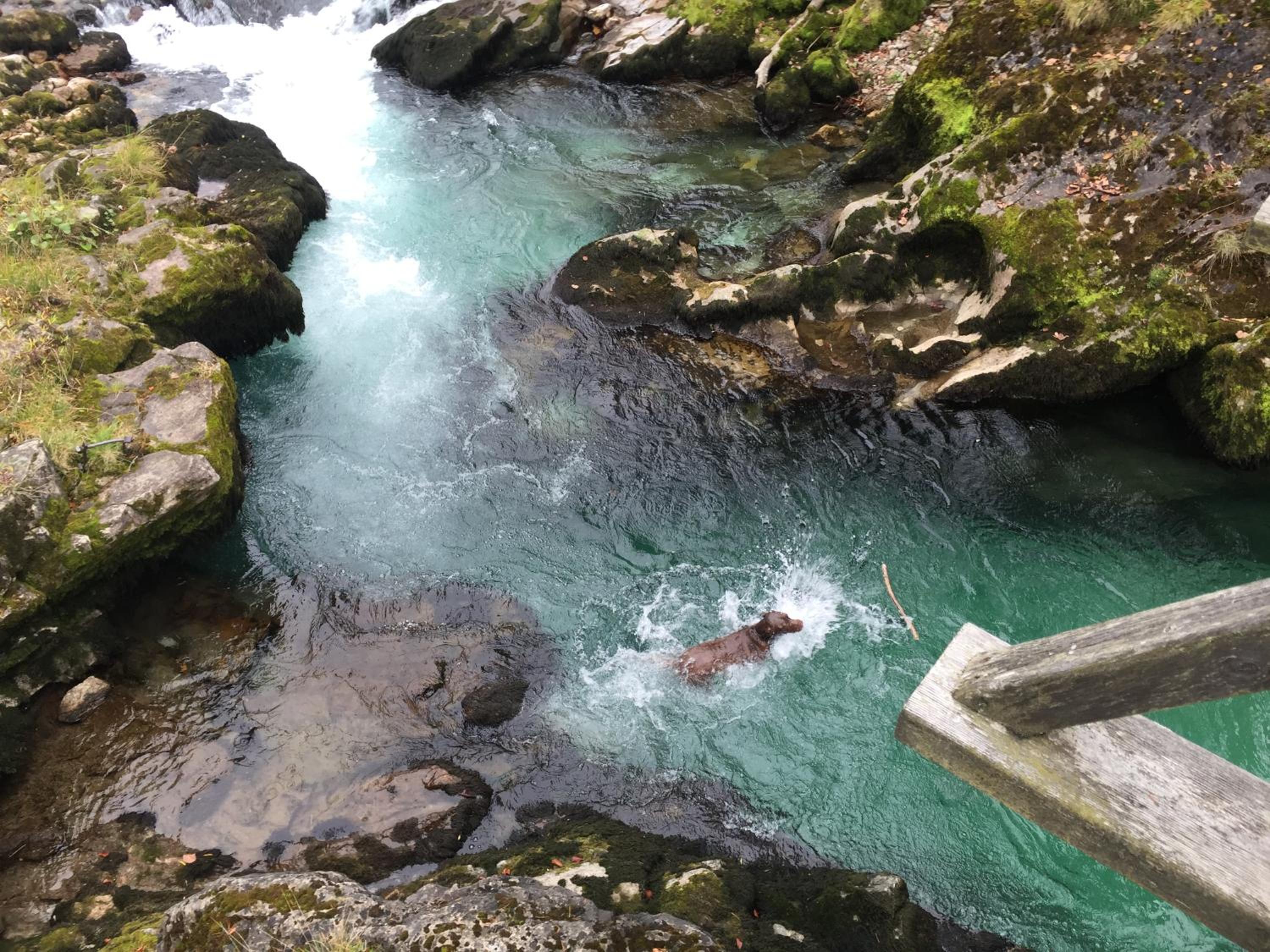 STEYR RIVER LODGE