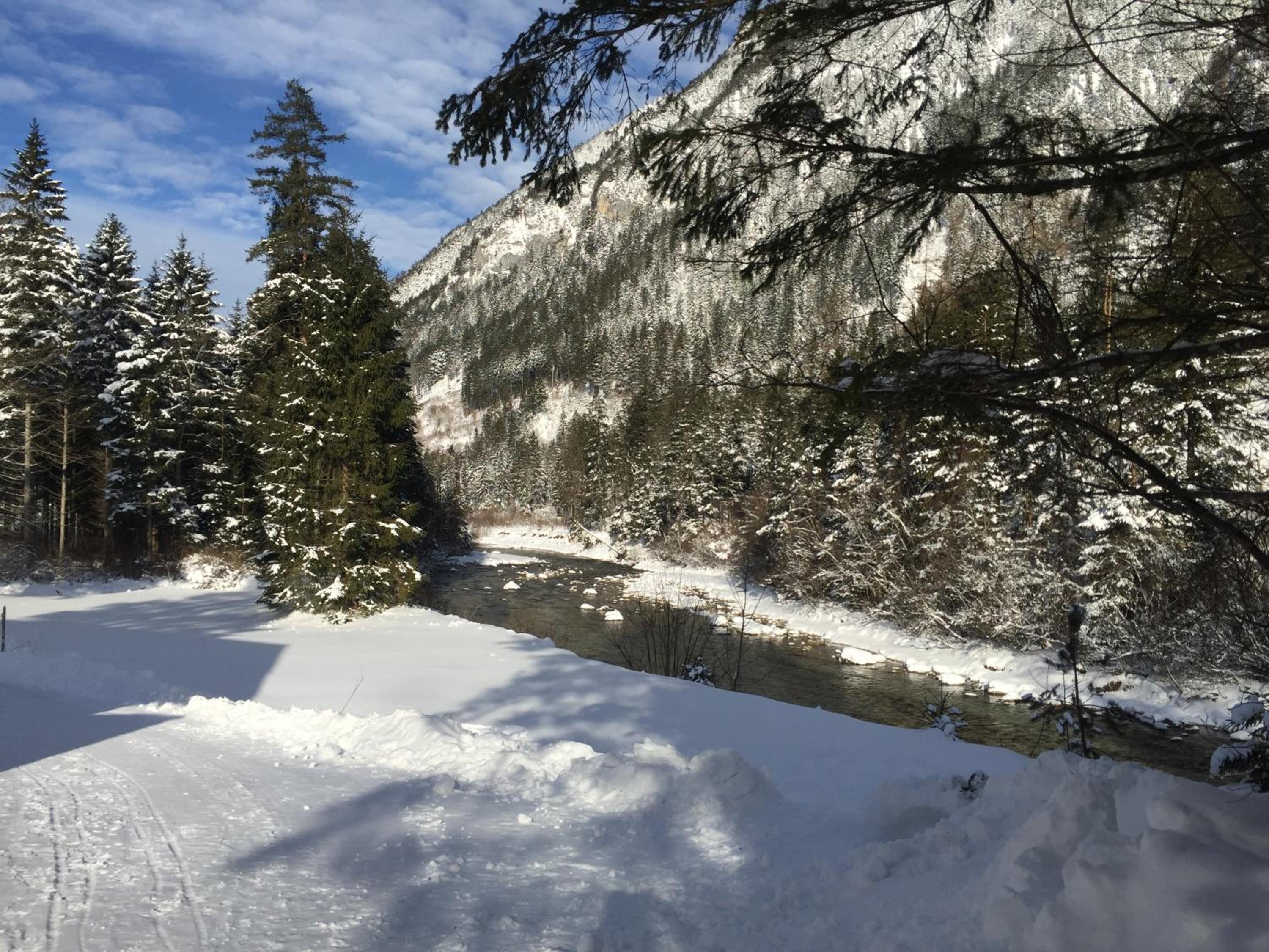STEYR RIVER LODGE
