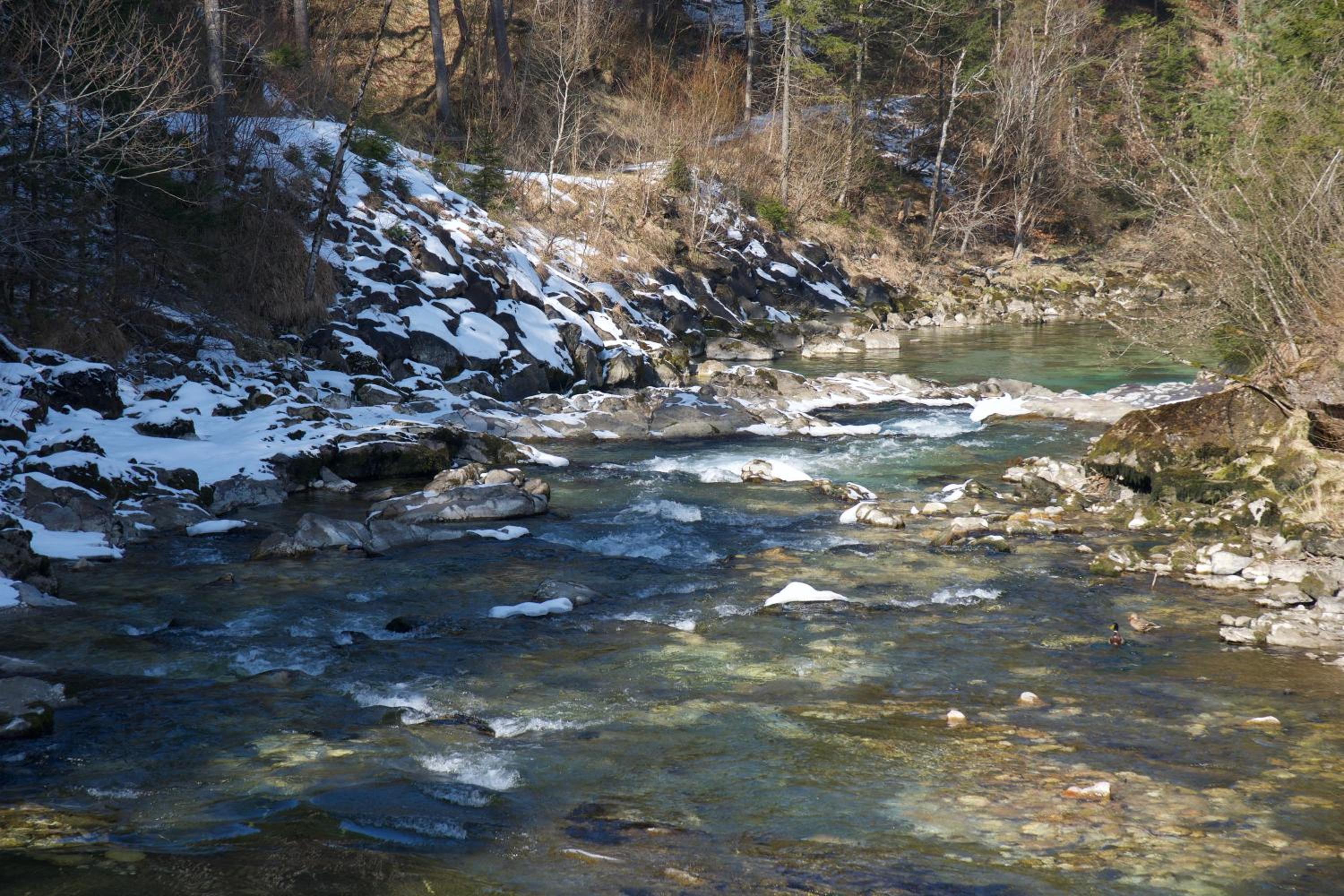 STEYR RIVER LODGE