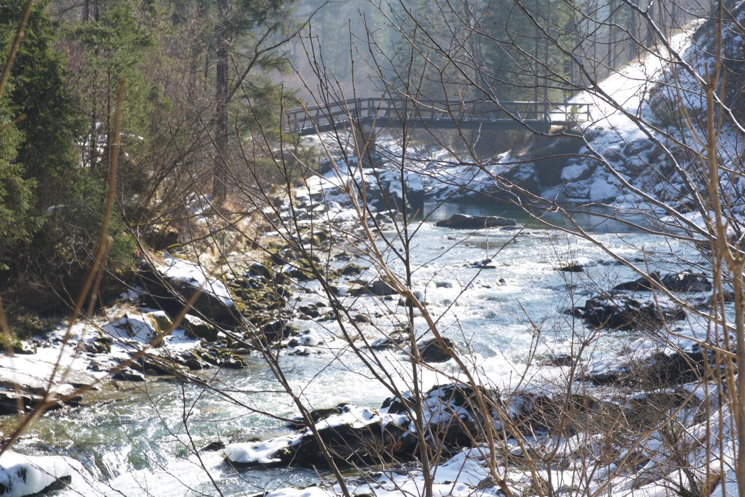STEYR RIVER LODGE