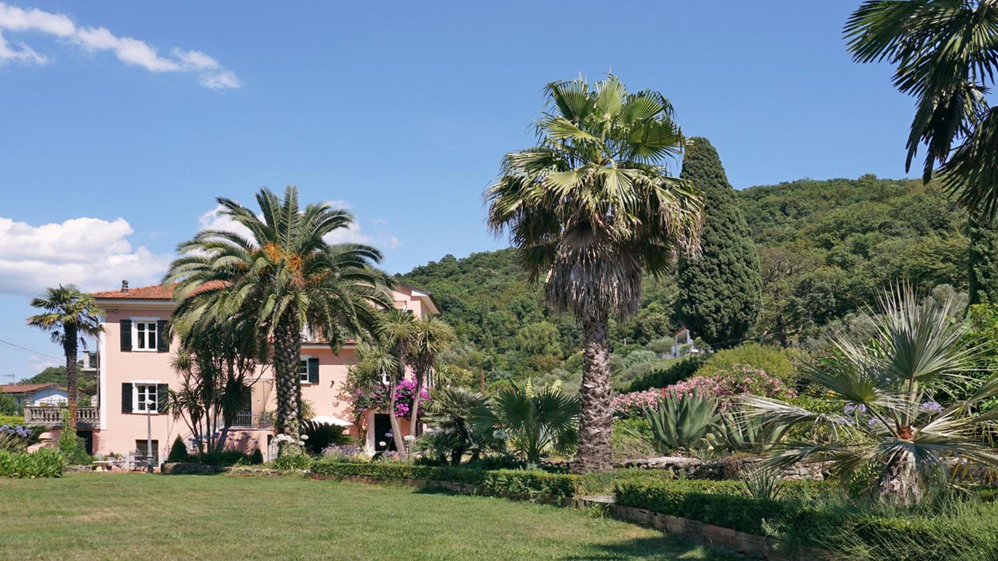 La Musa view 3