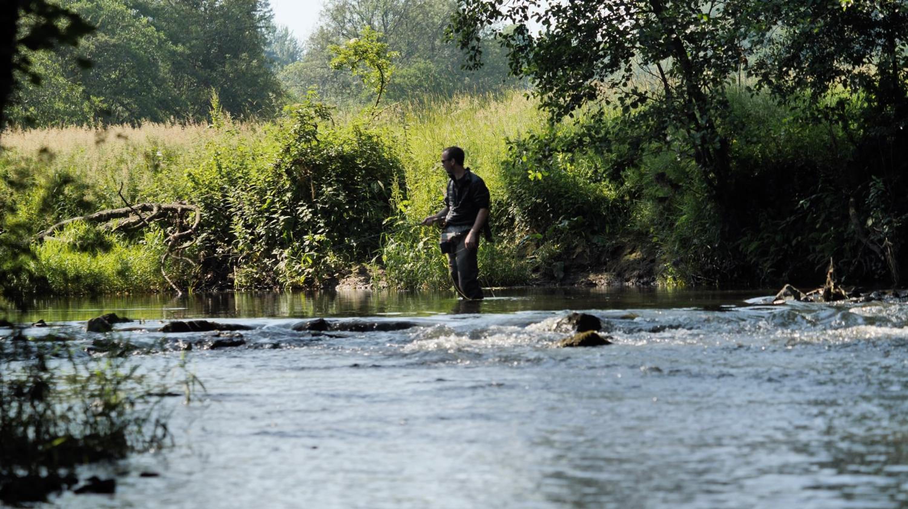 Photo 43