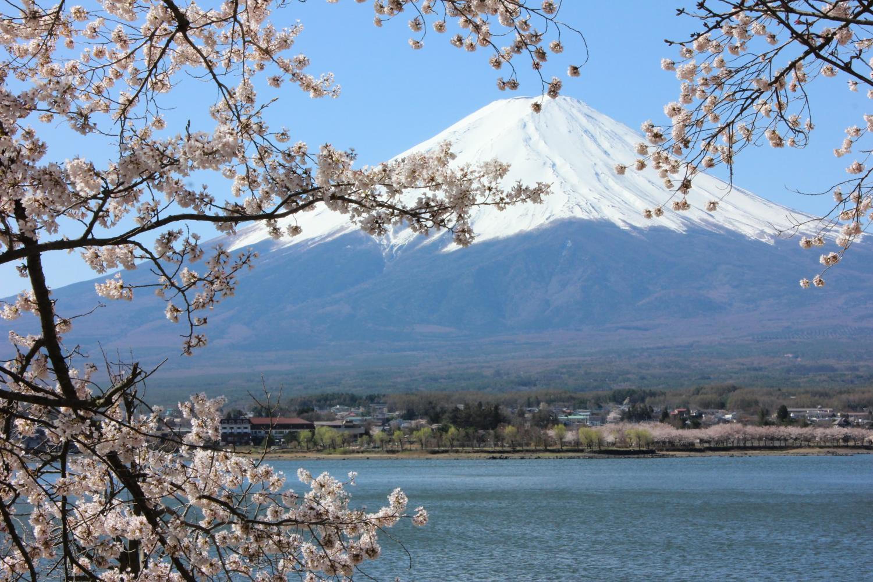 Ururun Kawaguchiko
