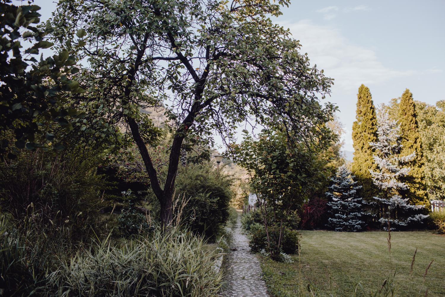 Photo 48