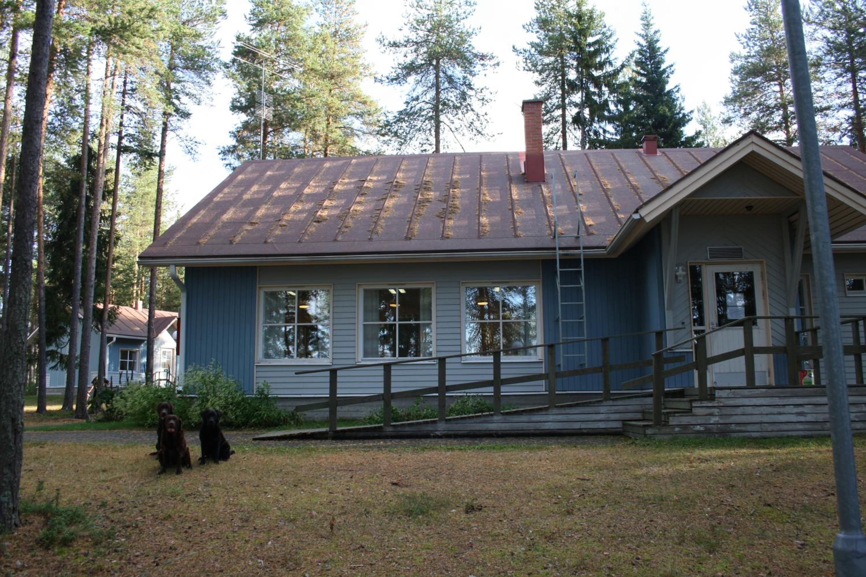 Photo 21
