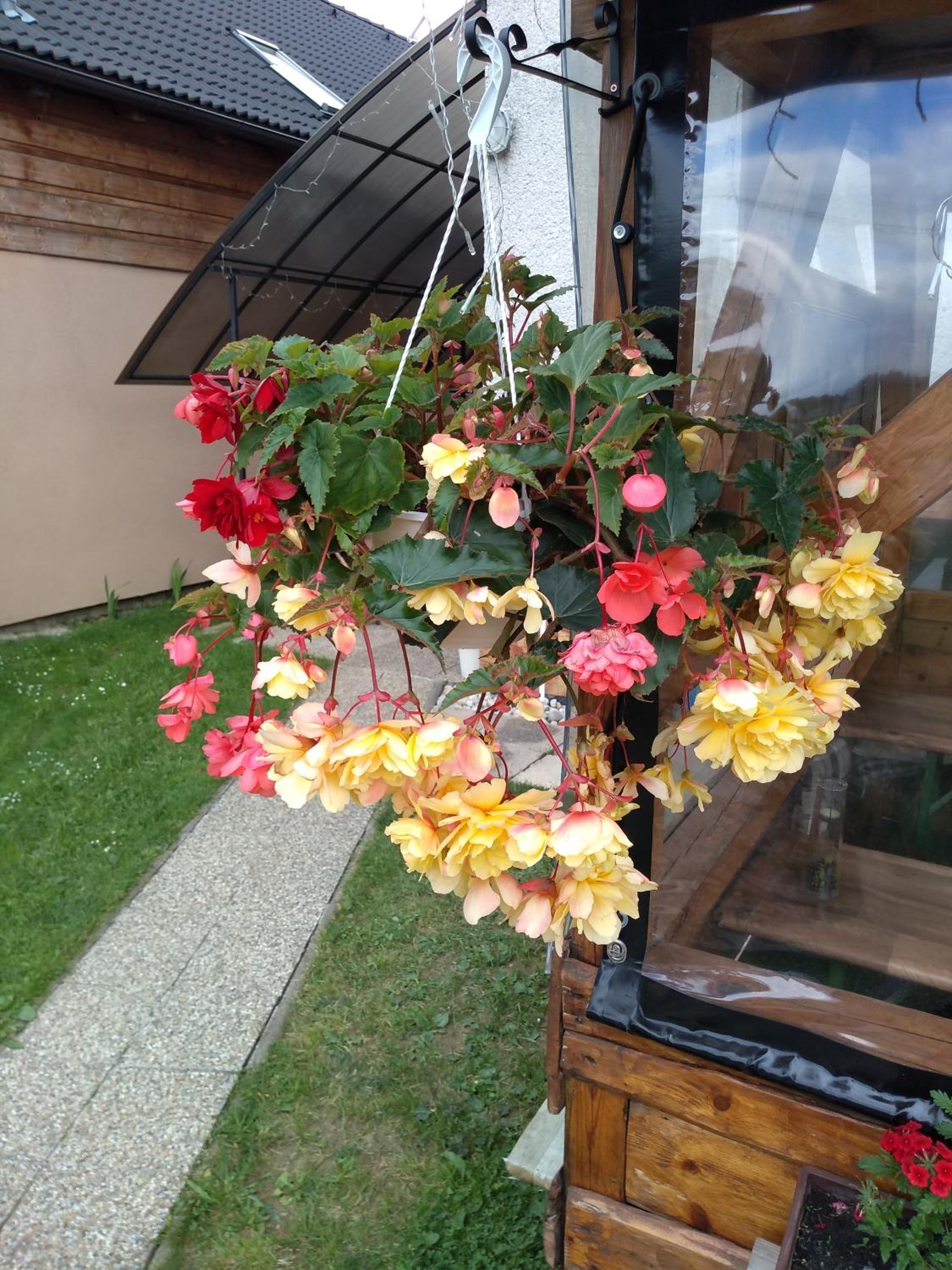 Photo 10